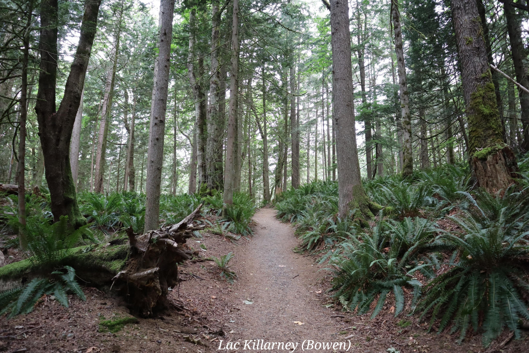 Killarney Bowen Canada