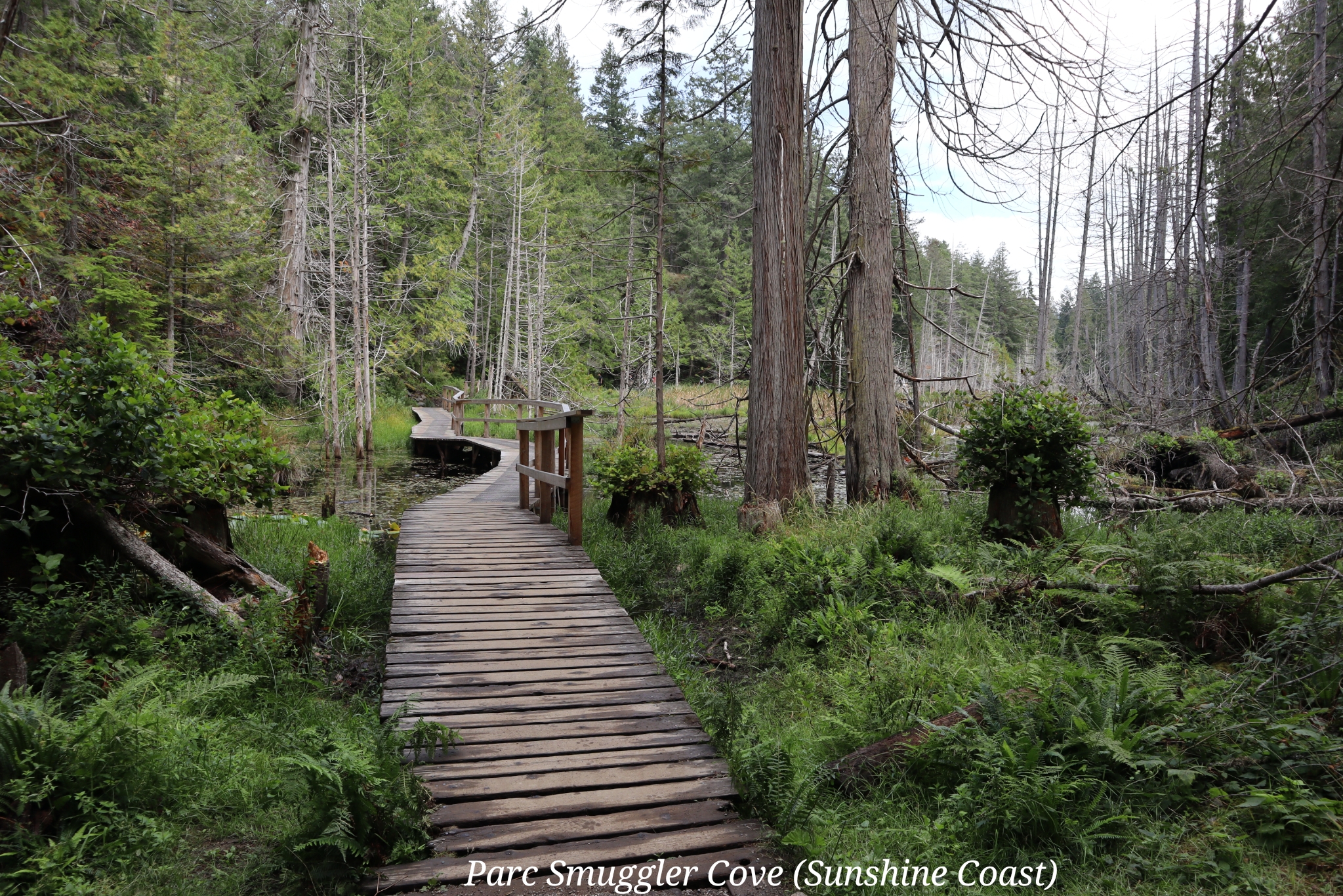 Smuggler Cove Sunshine coast Canada
