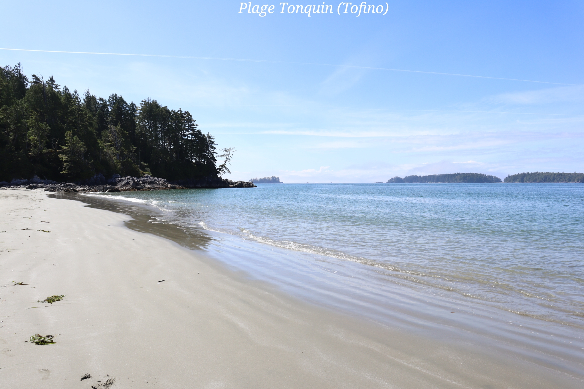 Tonquin Tofino Ile Vancouver Canada