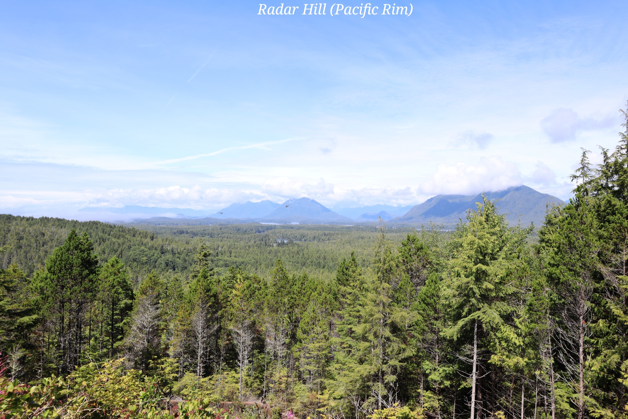 Radar Hill Pacific Rim Ile Vancouver Canada