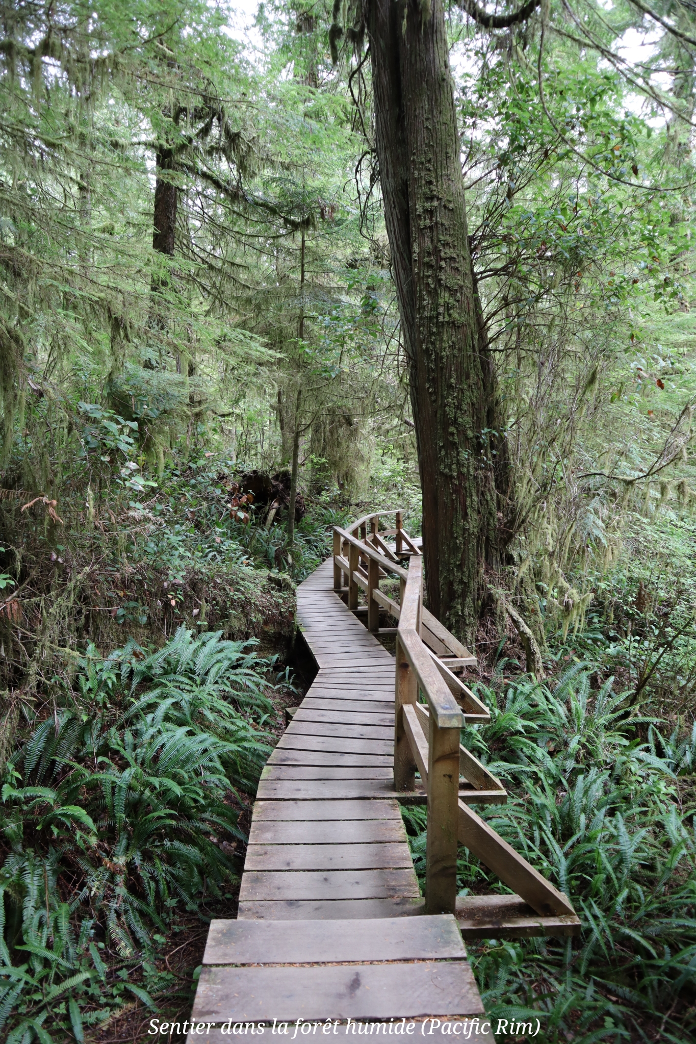 Pacific Rim Ile Vancoucer Canada