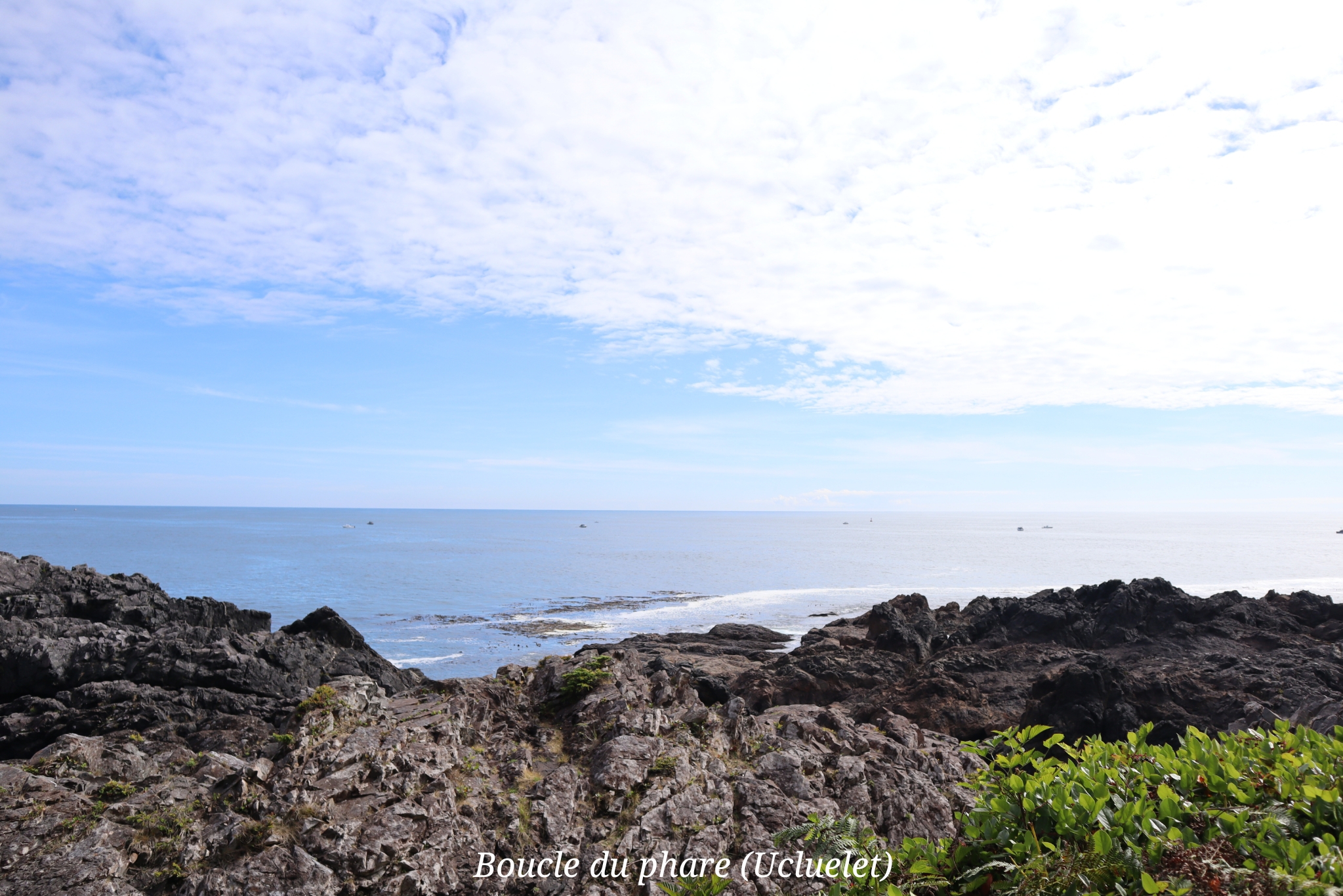 Ucluelet Ile Vancouver Canada