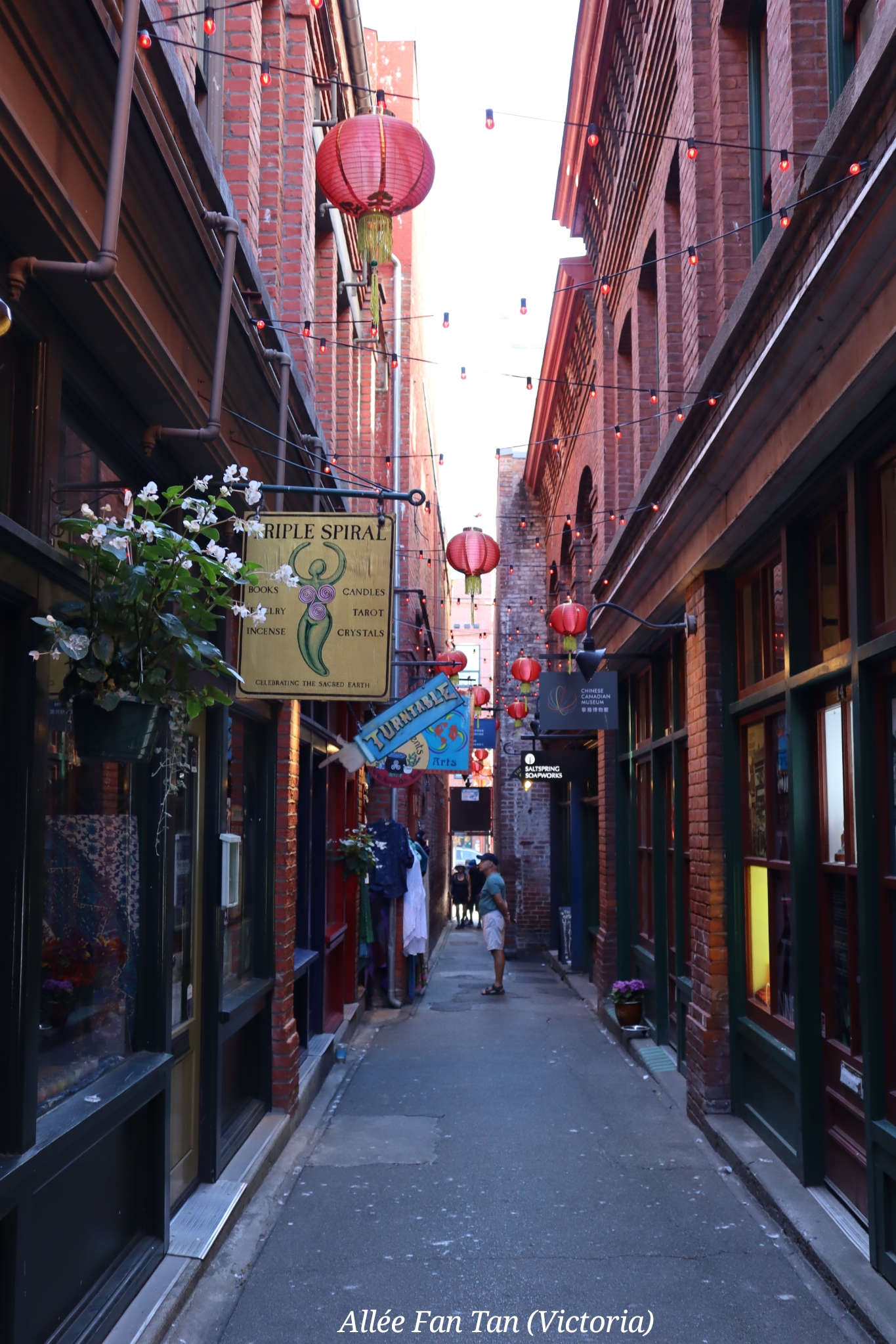 Victoria Ile Vancouver Canada