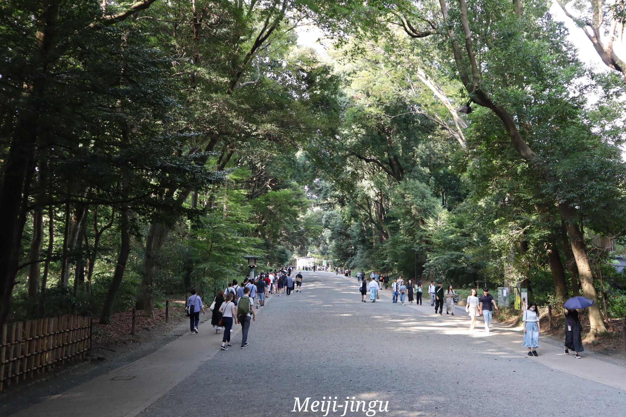 Meiji-Jingu Tokyo Japon