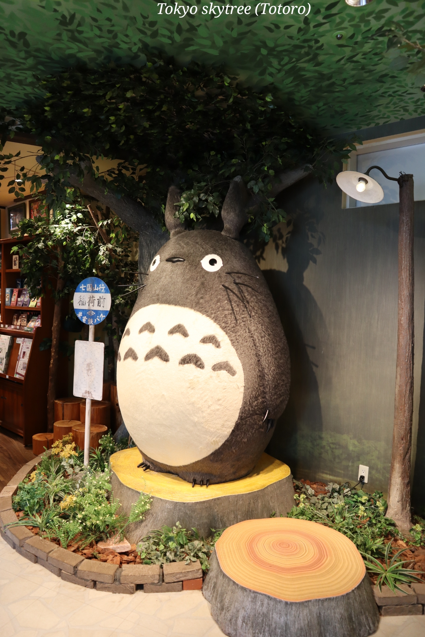 Tokyo sky tree Totora Japon