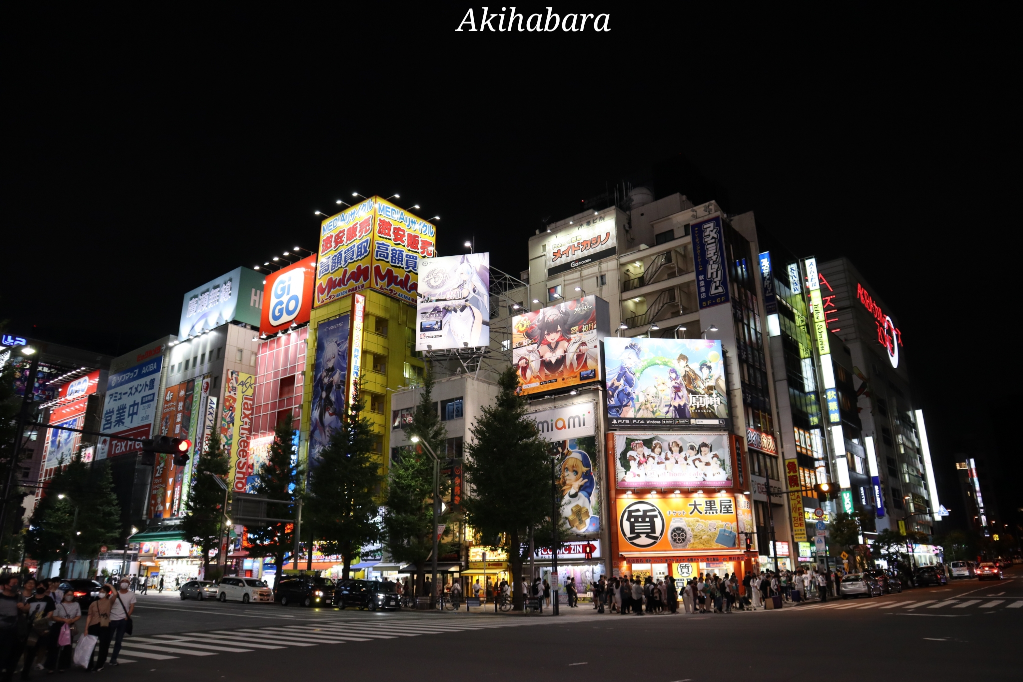 Akihabara Tokyo Japon