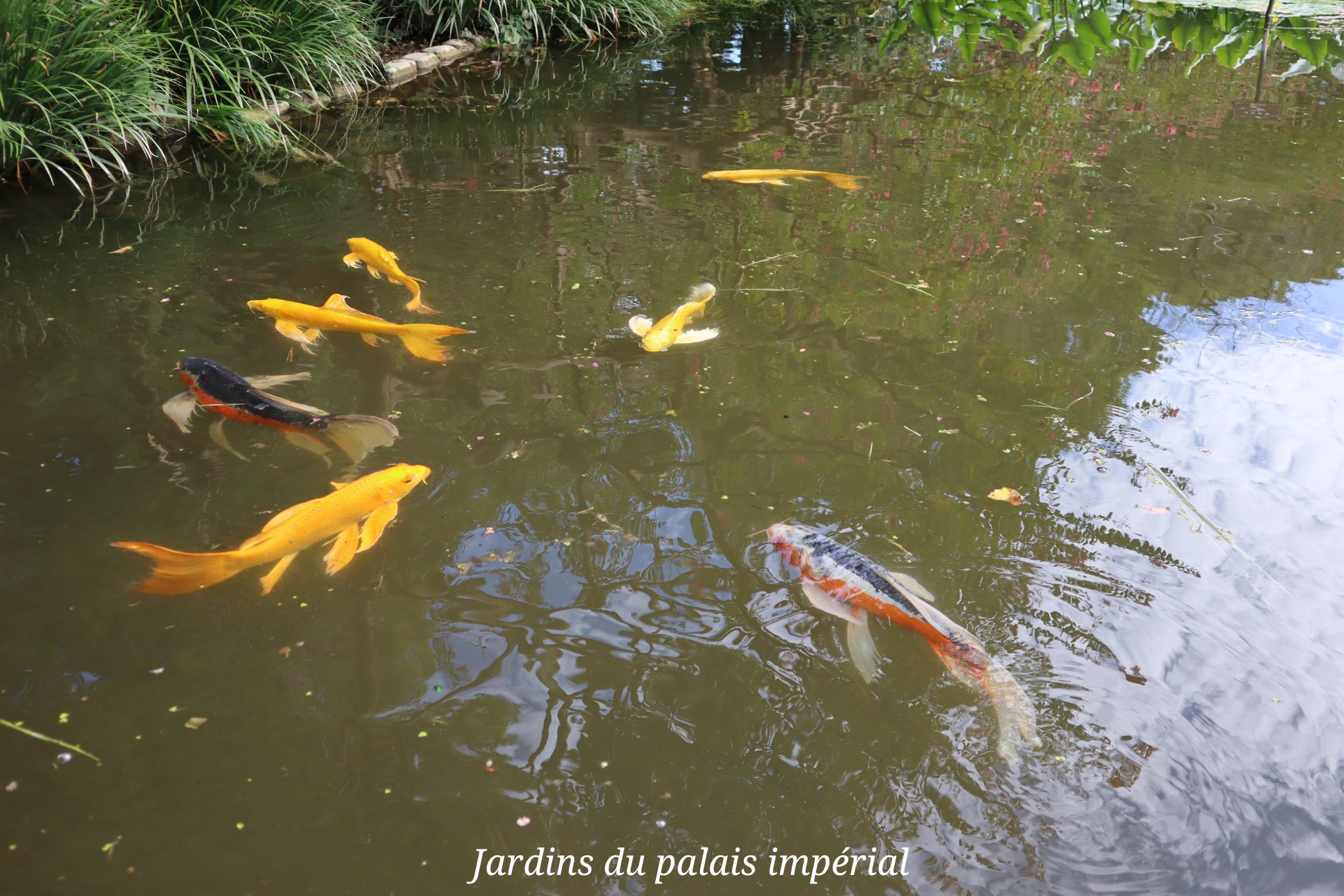Palais impérial Tokyo Japon