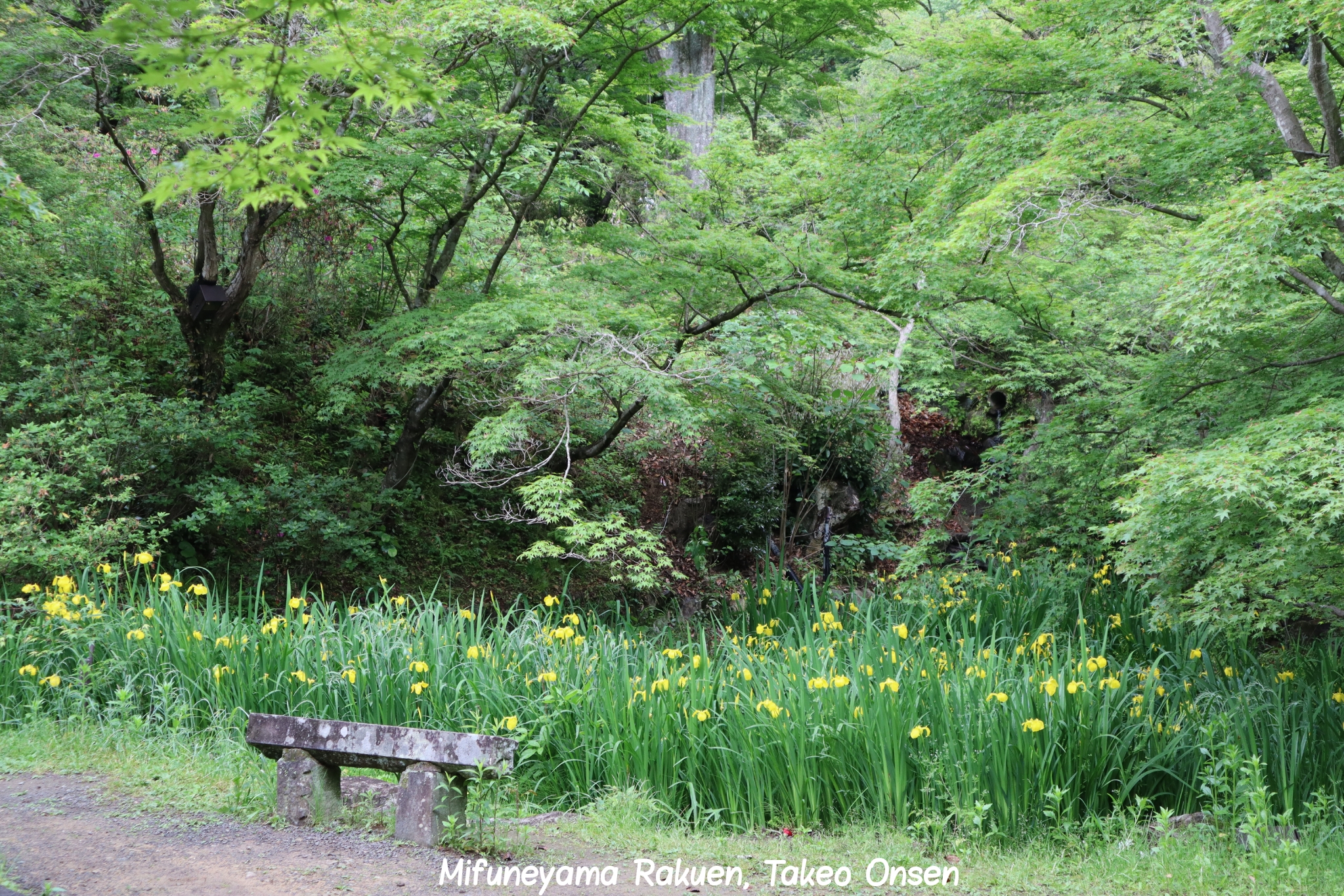 Takeo Onsen Kyushu Japon
