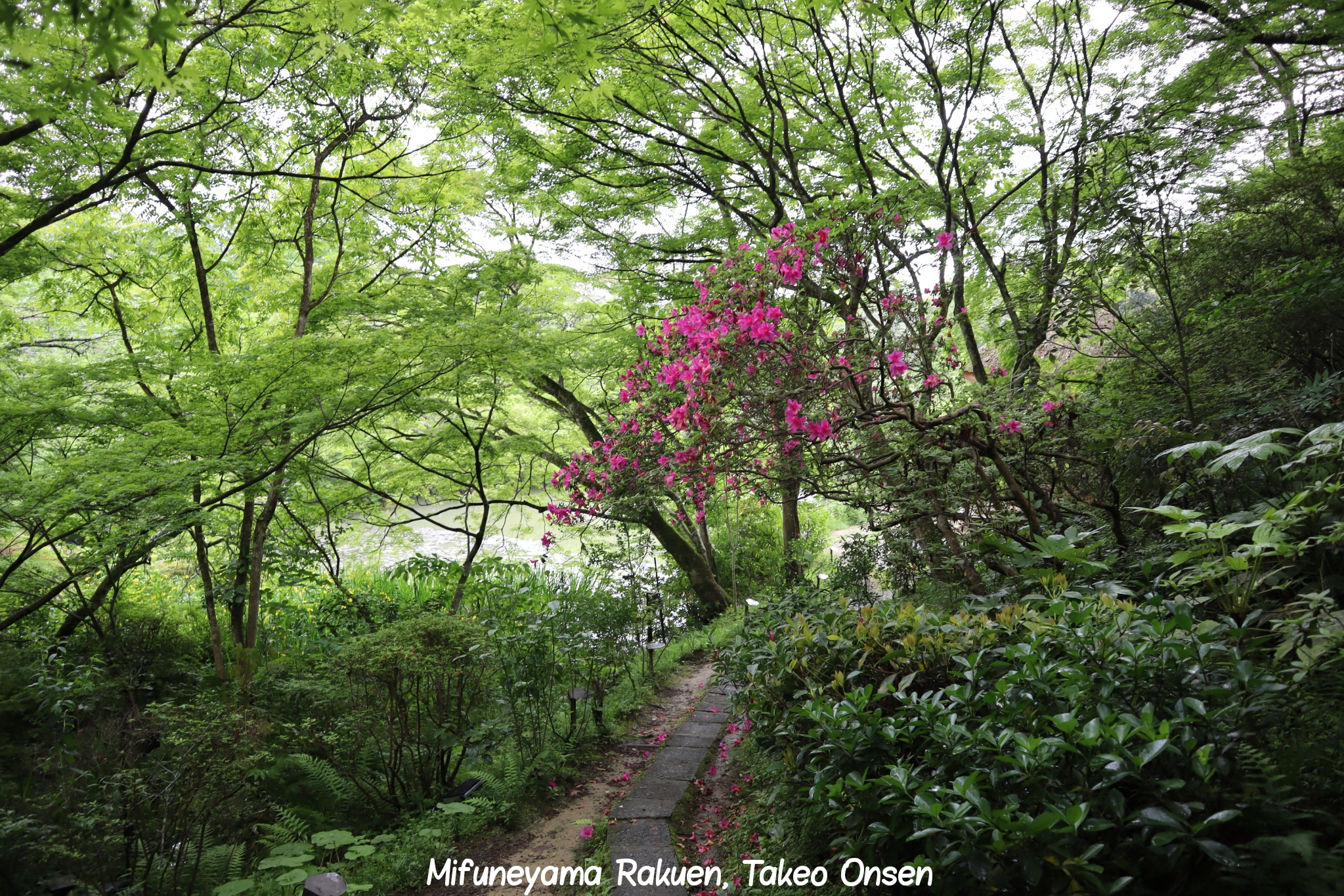 Takeo Onsen Kyushu Japon