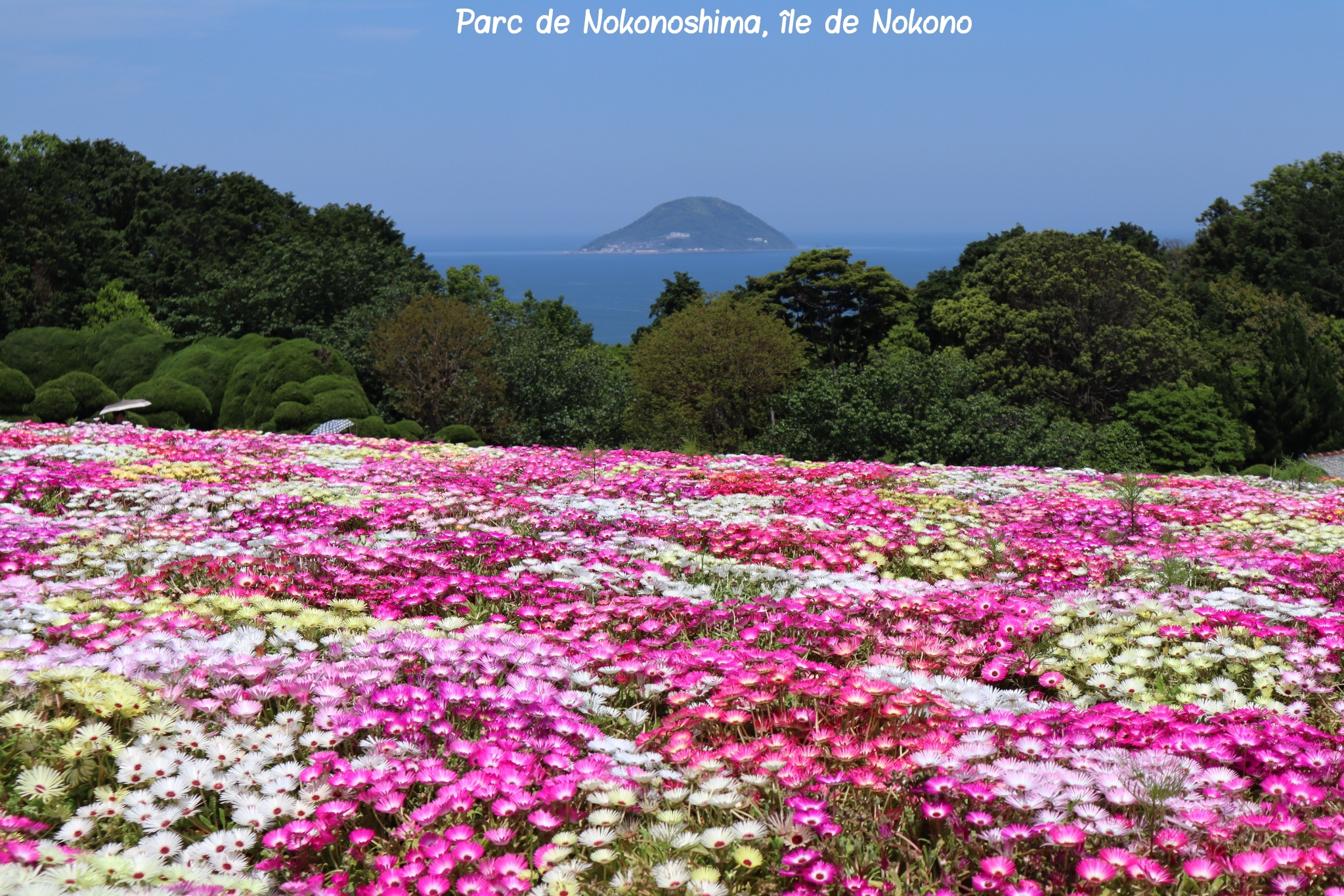 Nokonoshima Nokono Fukuoka Kyushu Japon