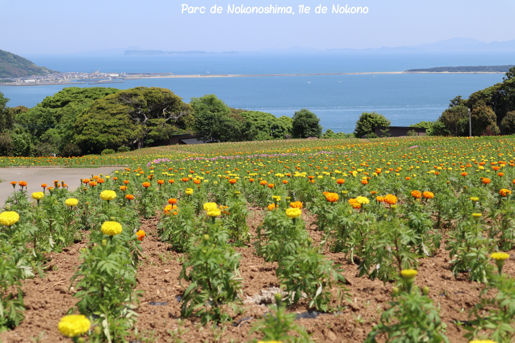 Nokonoshima Nokono Fukuoka Kyushu Japon