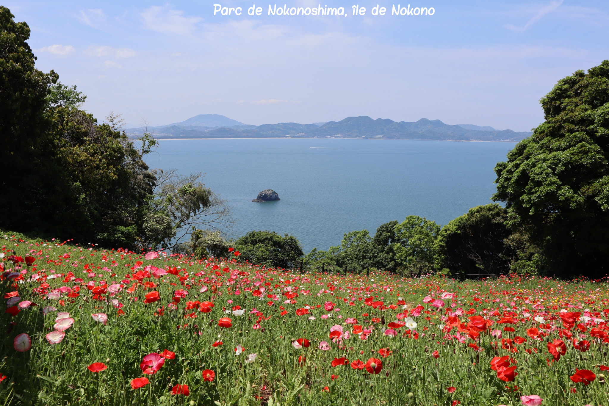 Nokonoshima Nokono Fukuoka Kyushu Japon