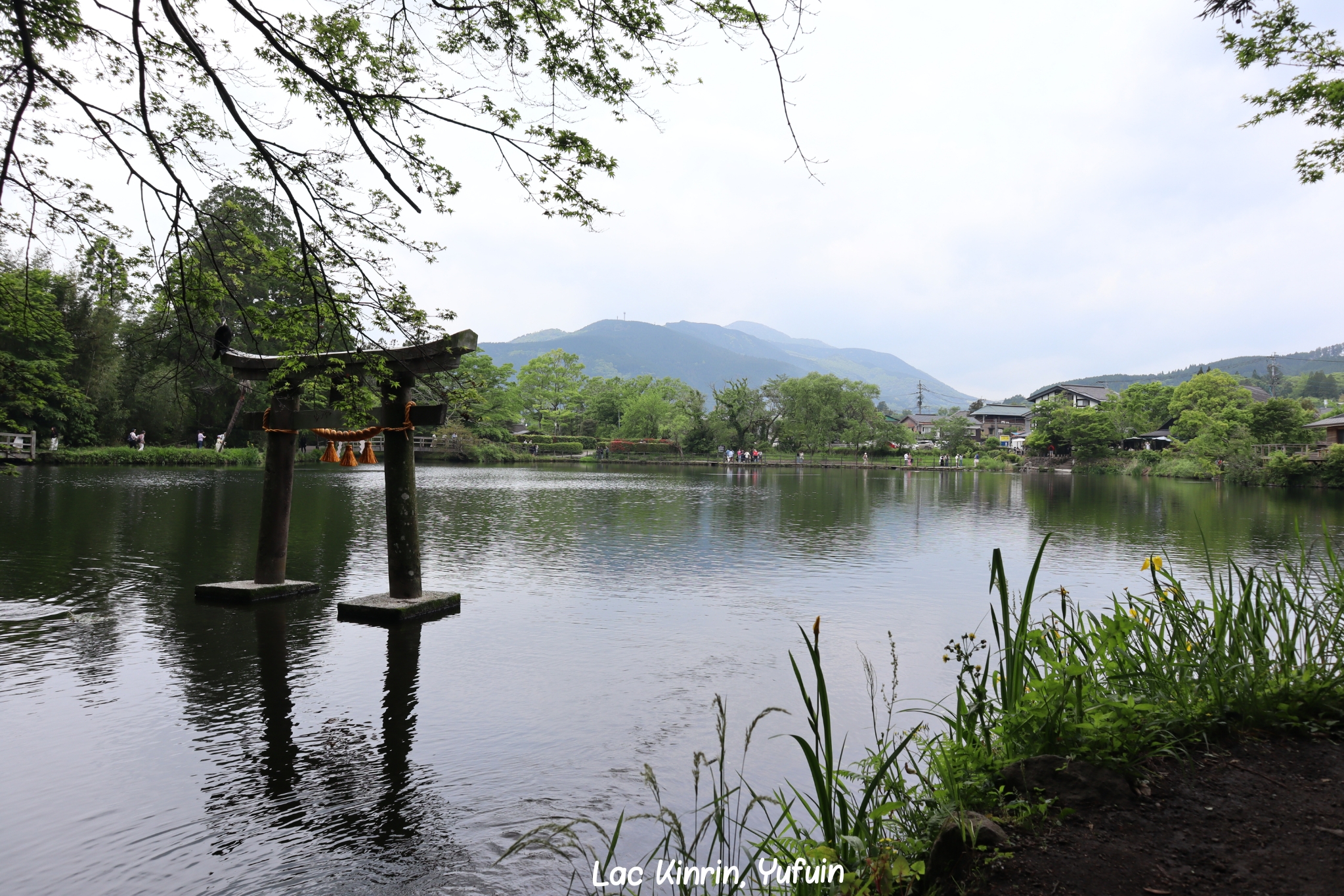 Kirin Yufuin Kyushu Japon