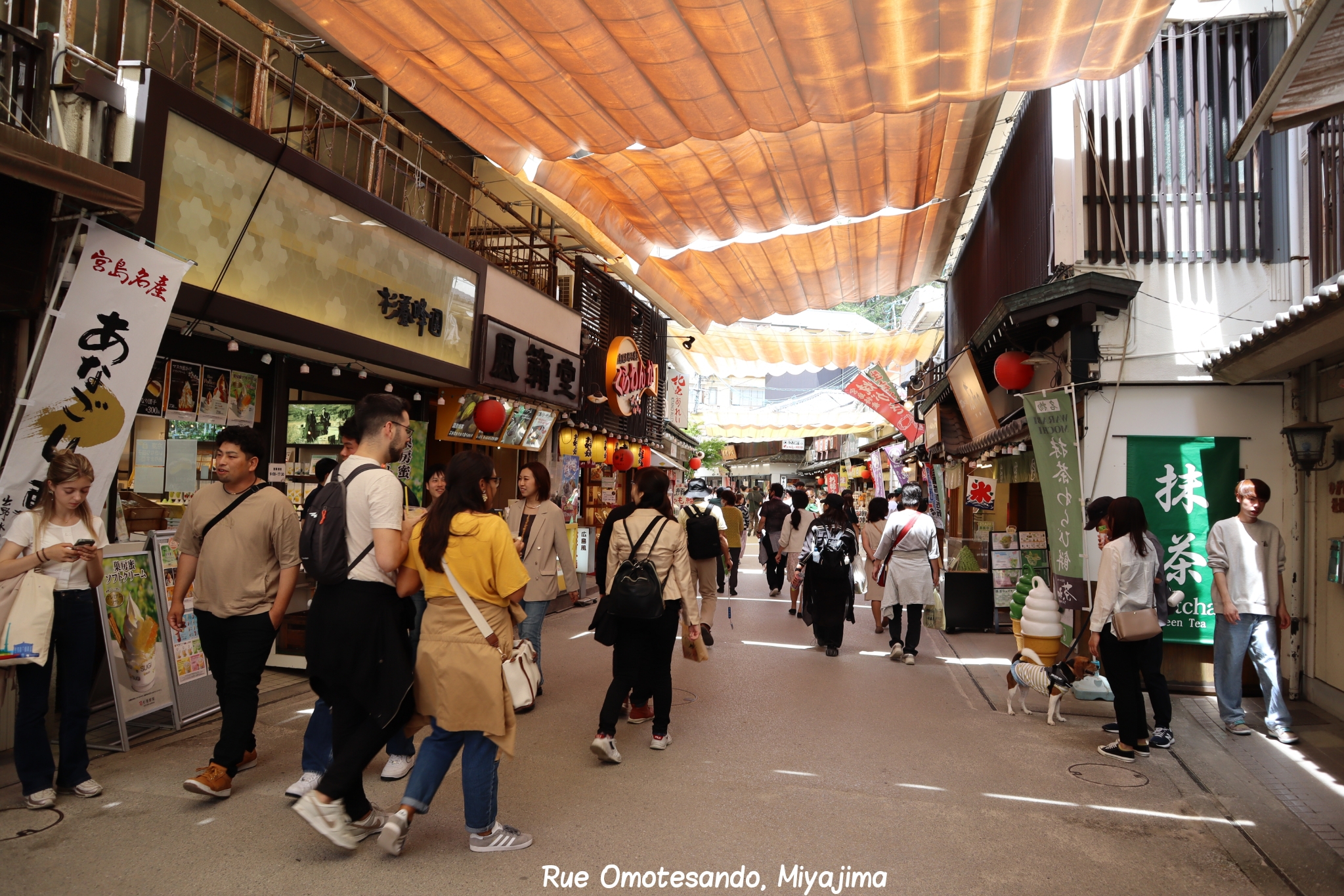 Omotesando Miyajima Hiroshima Japon