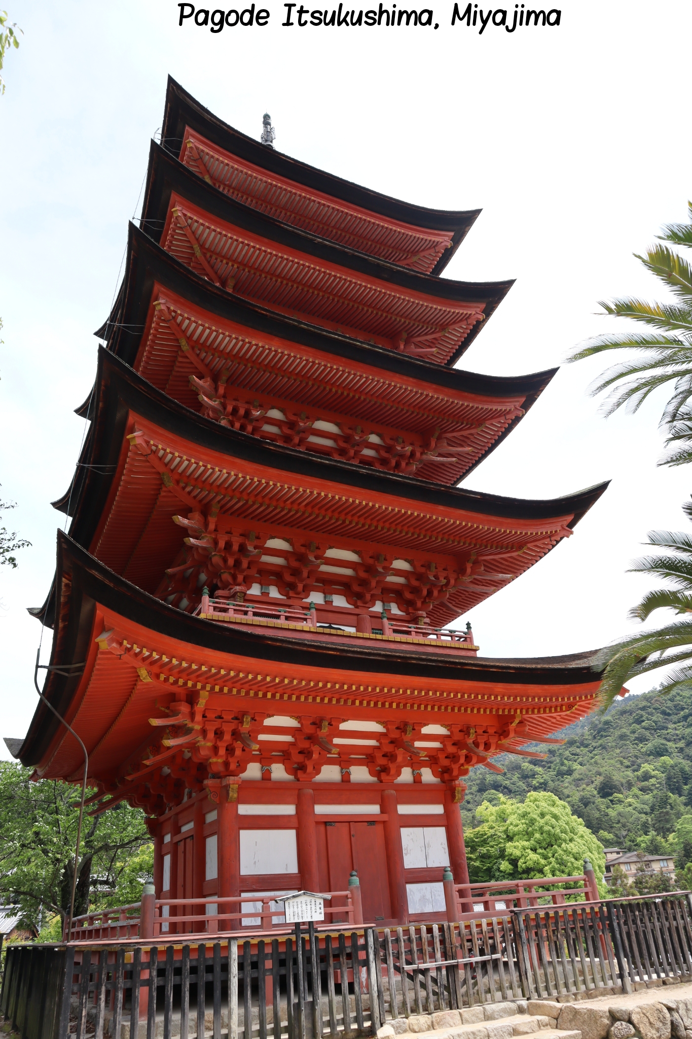 Itsukushima Miyajima Hiroshima Japon