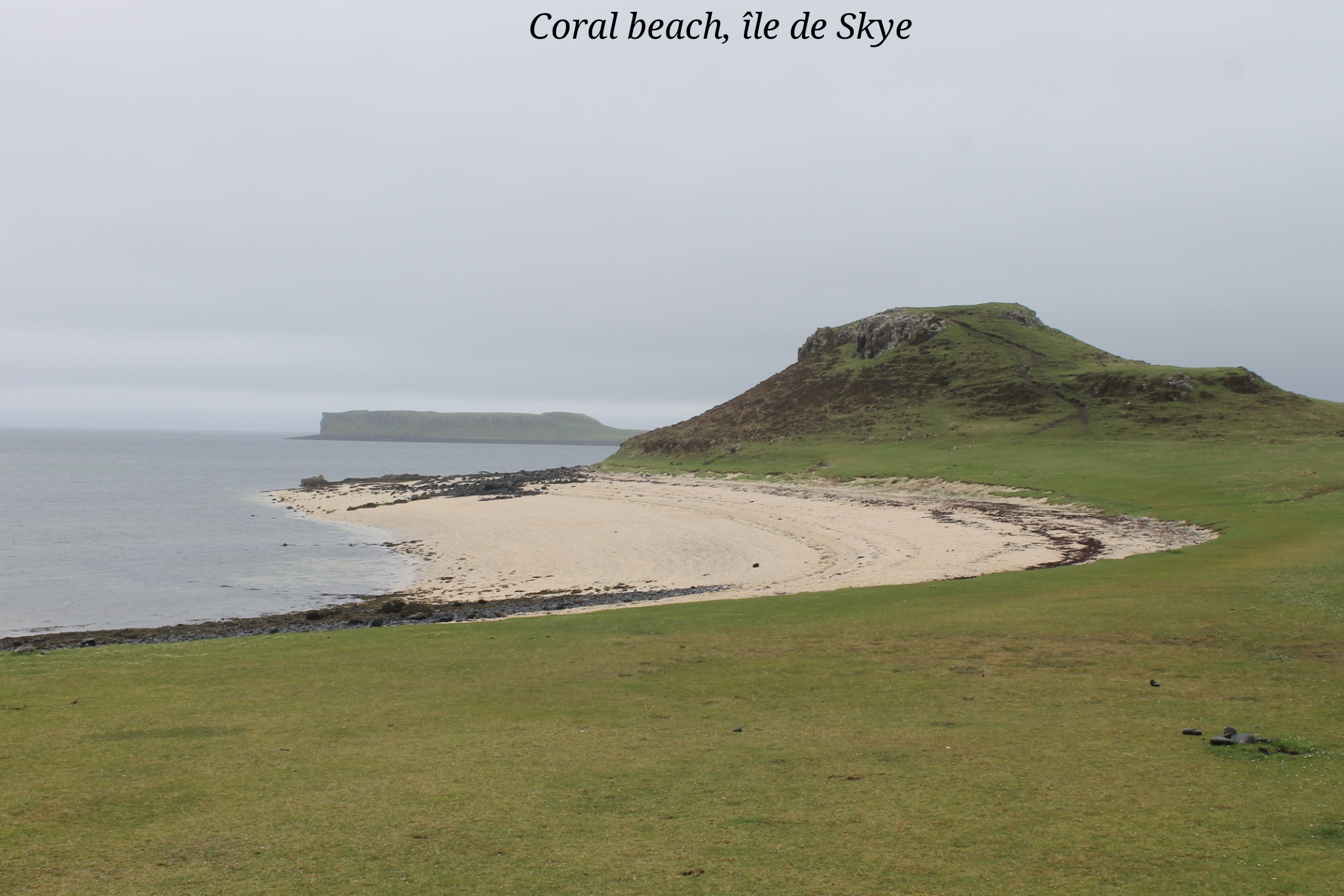 Coral beach Skye Ecosse