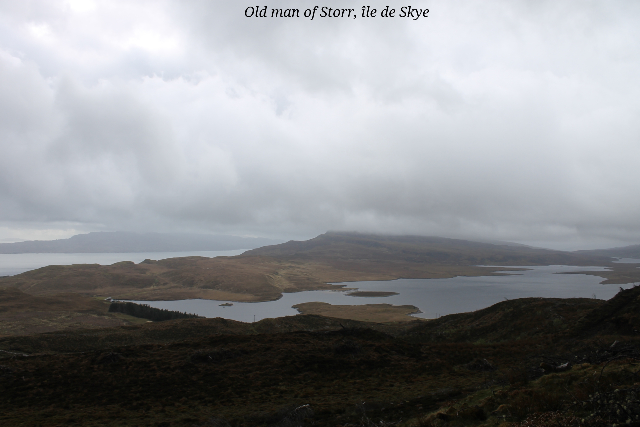 Old man of Storr Skye Ecosse