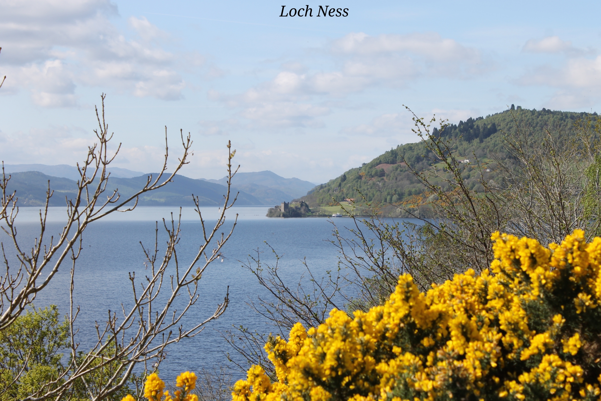 Loch Ness Ecosse
