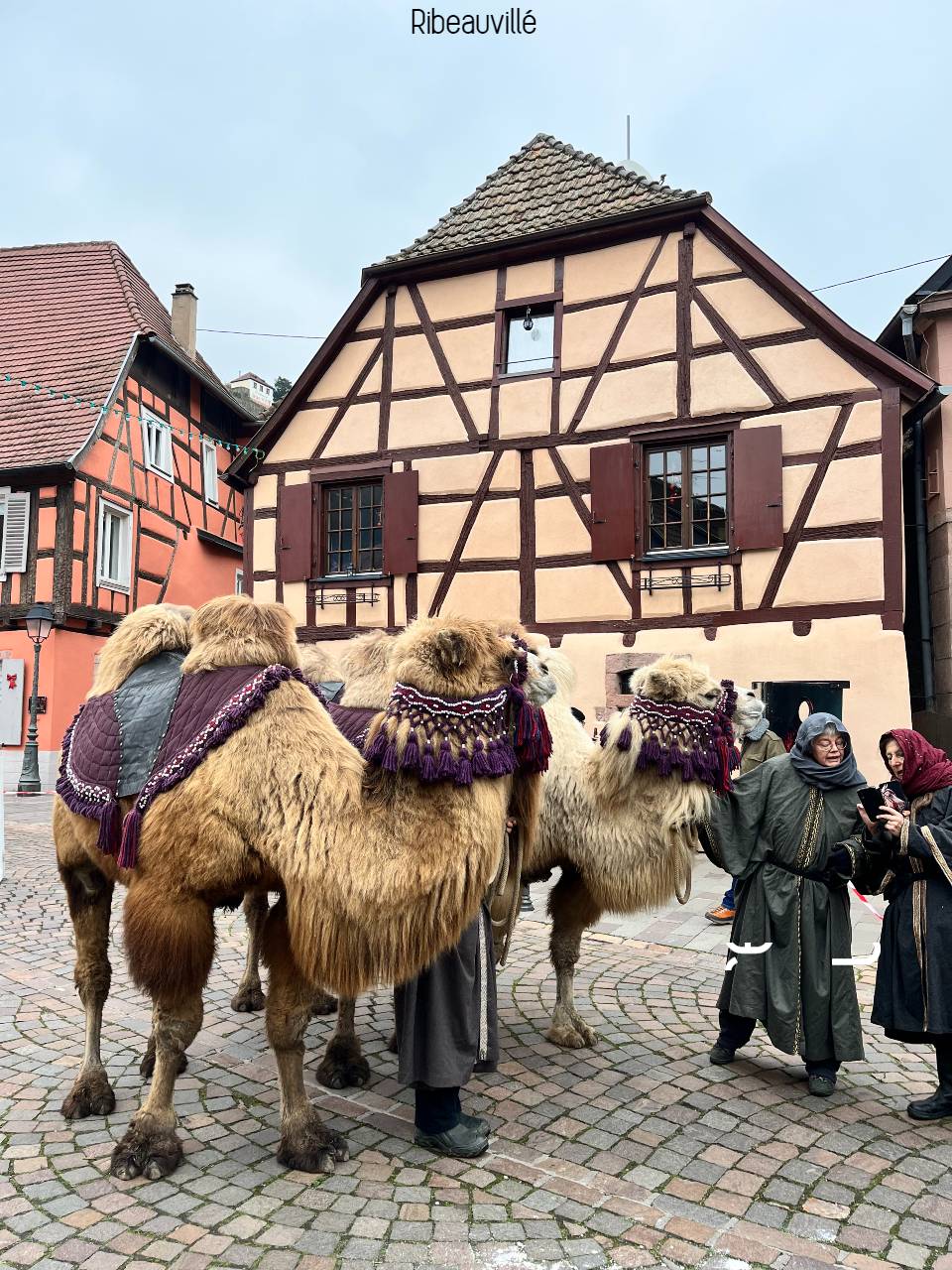 Ribeauvillé Alsace France