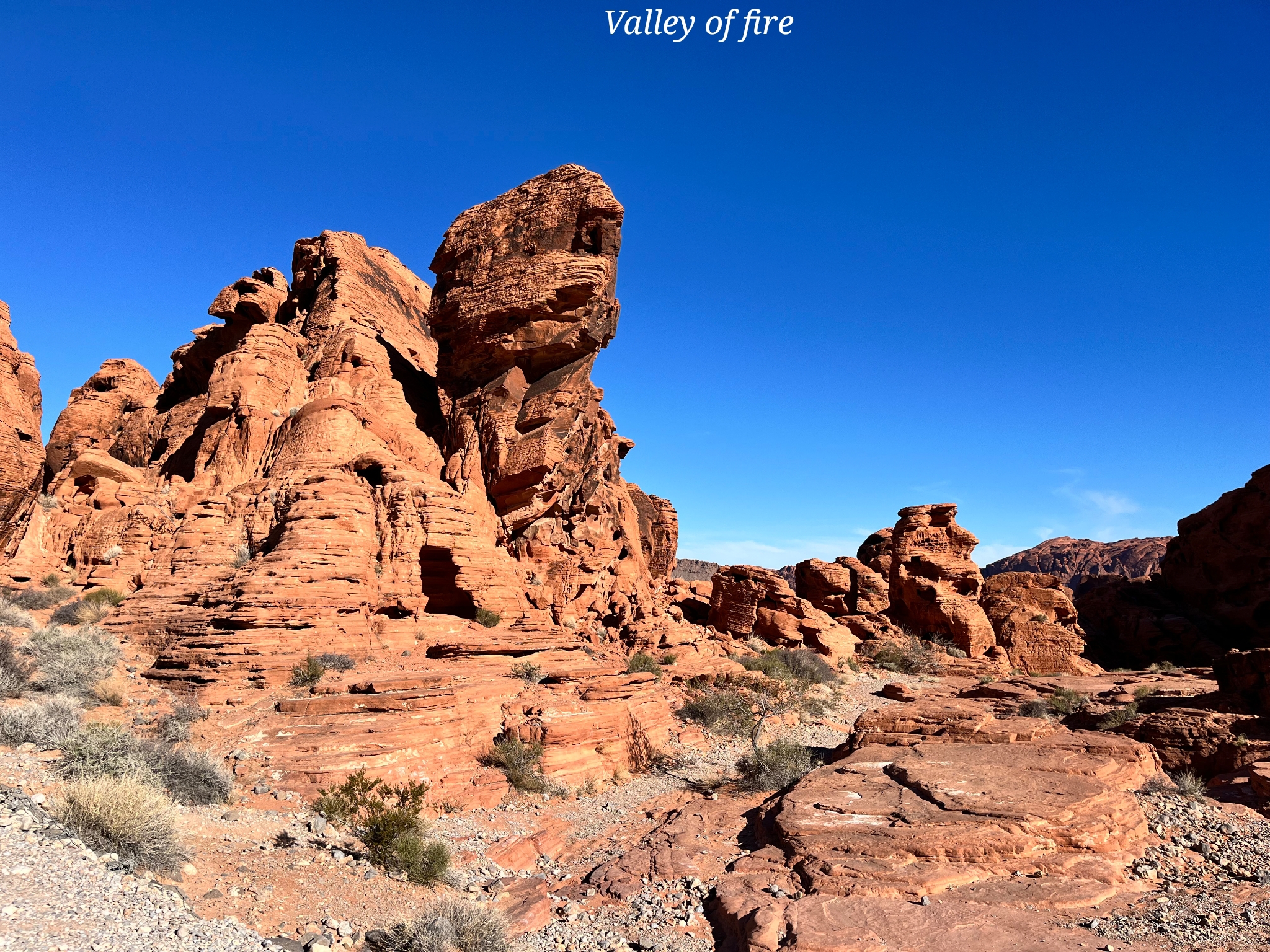 Las Vegas valley of fire Nevada Etats Unis
