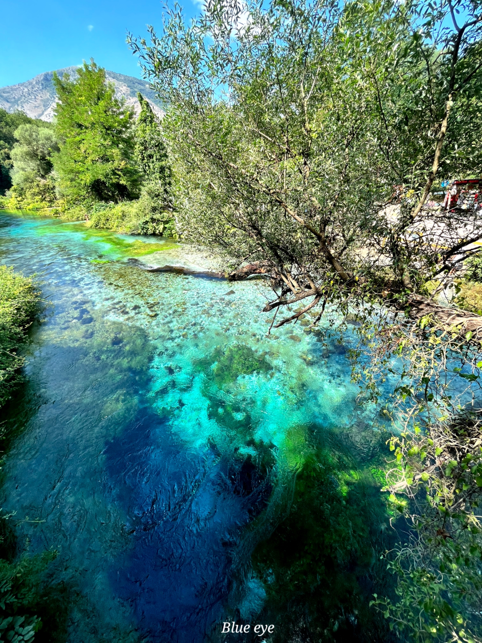 blue eye Albanie