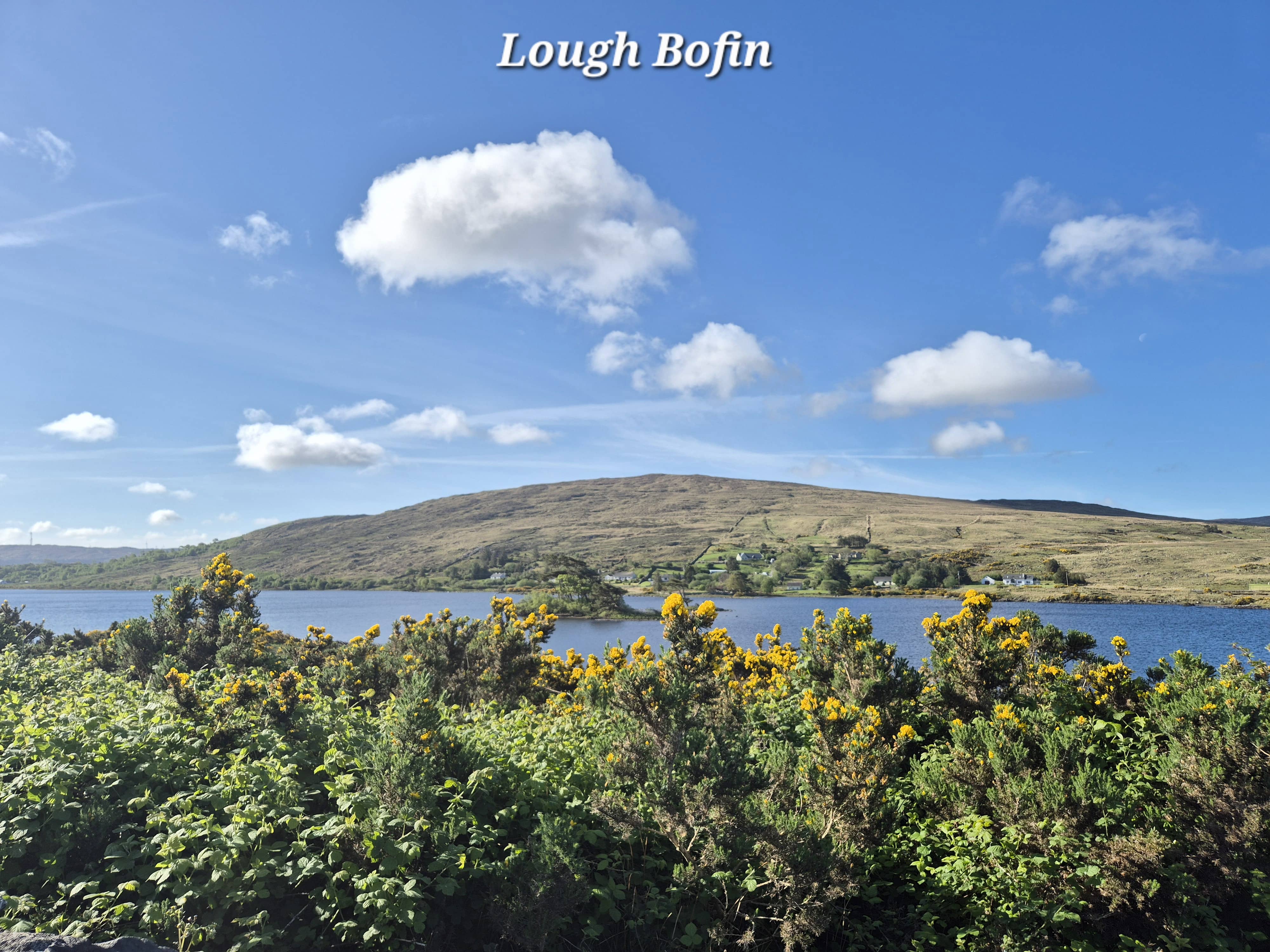 Connemara