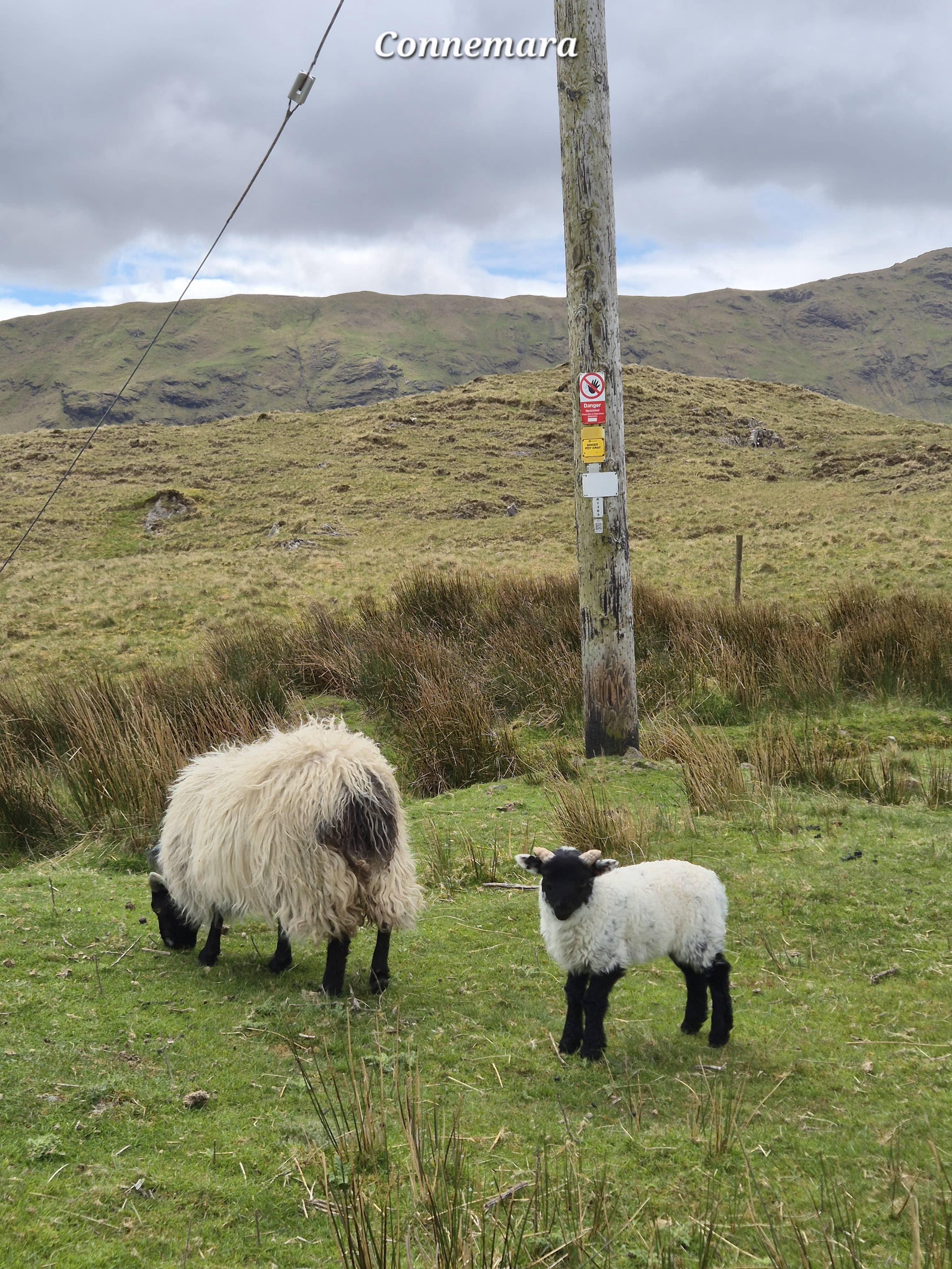 Connemara