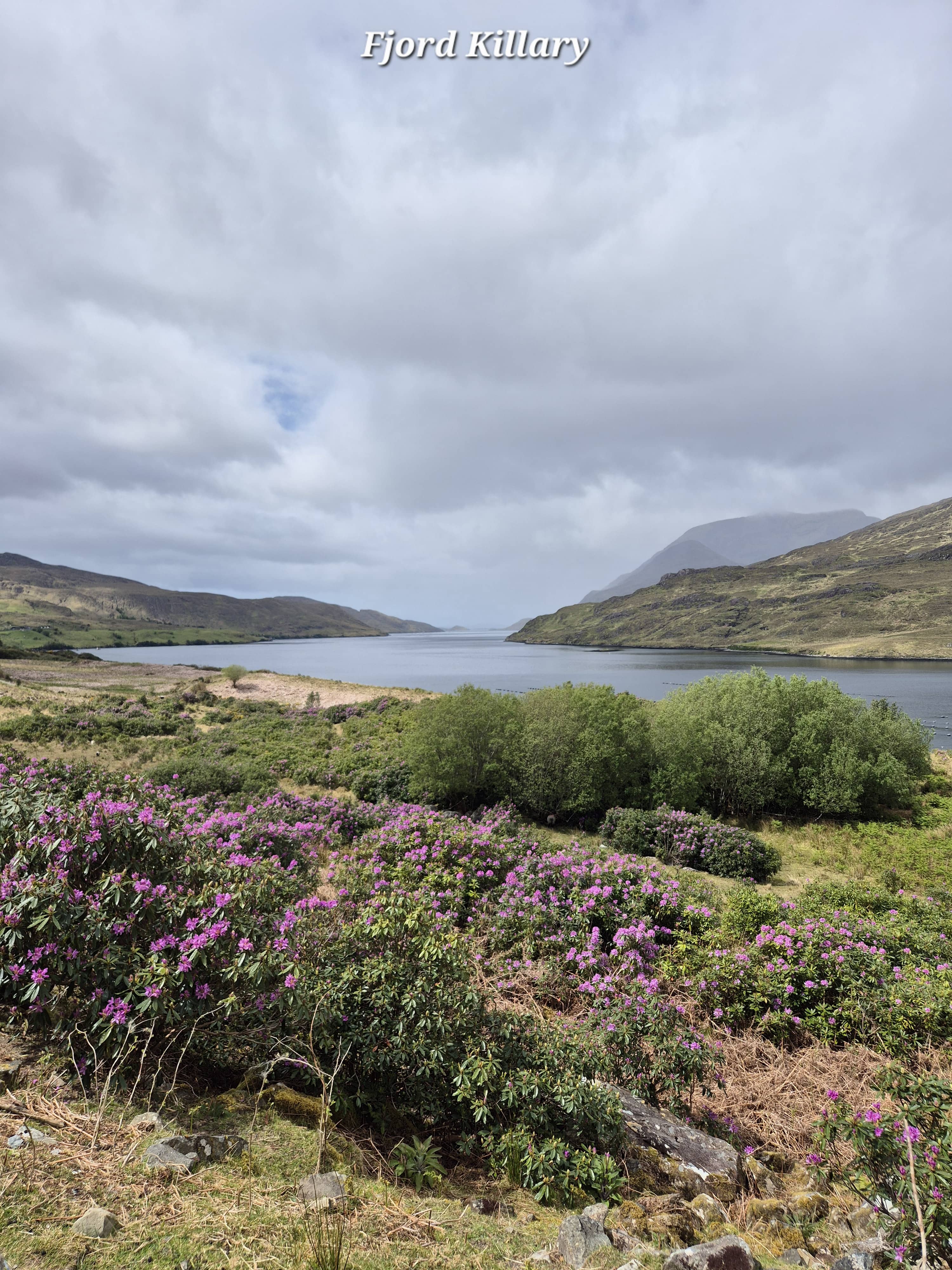 Connemara