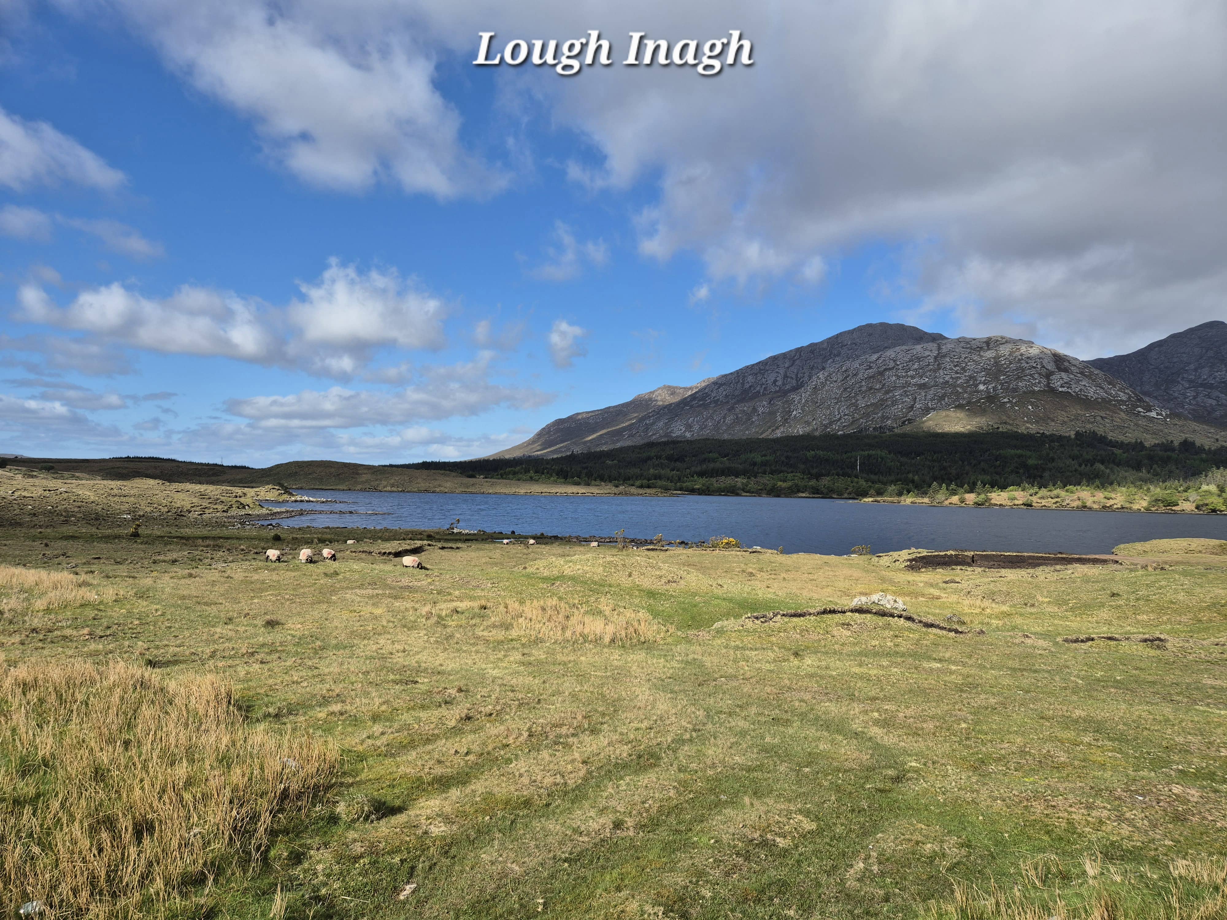 Connemara