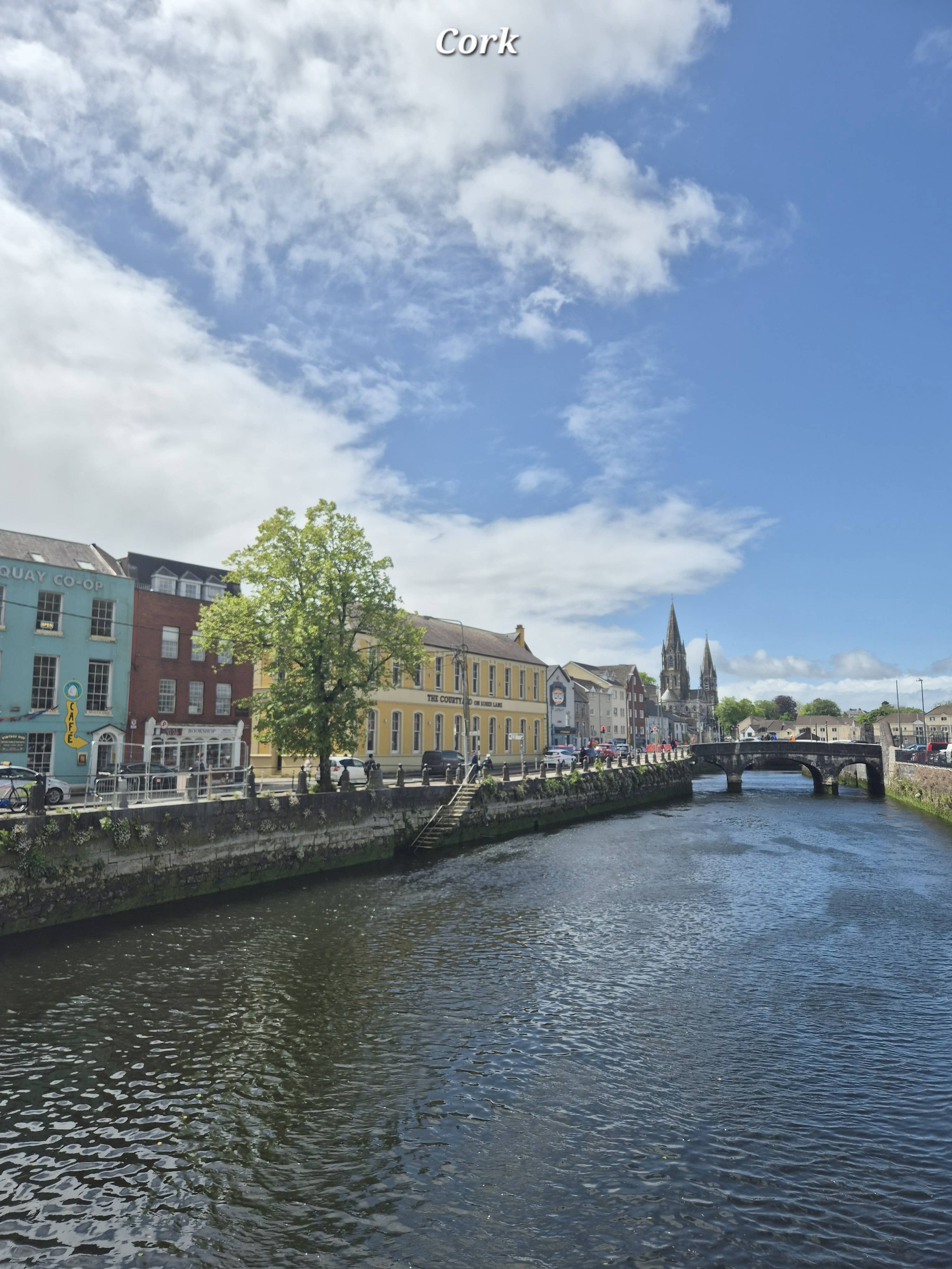 Cork