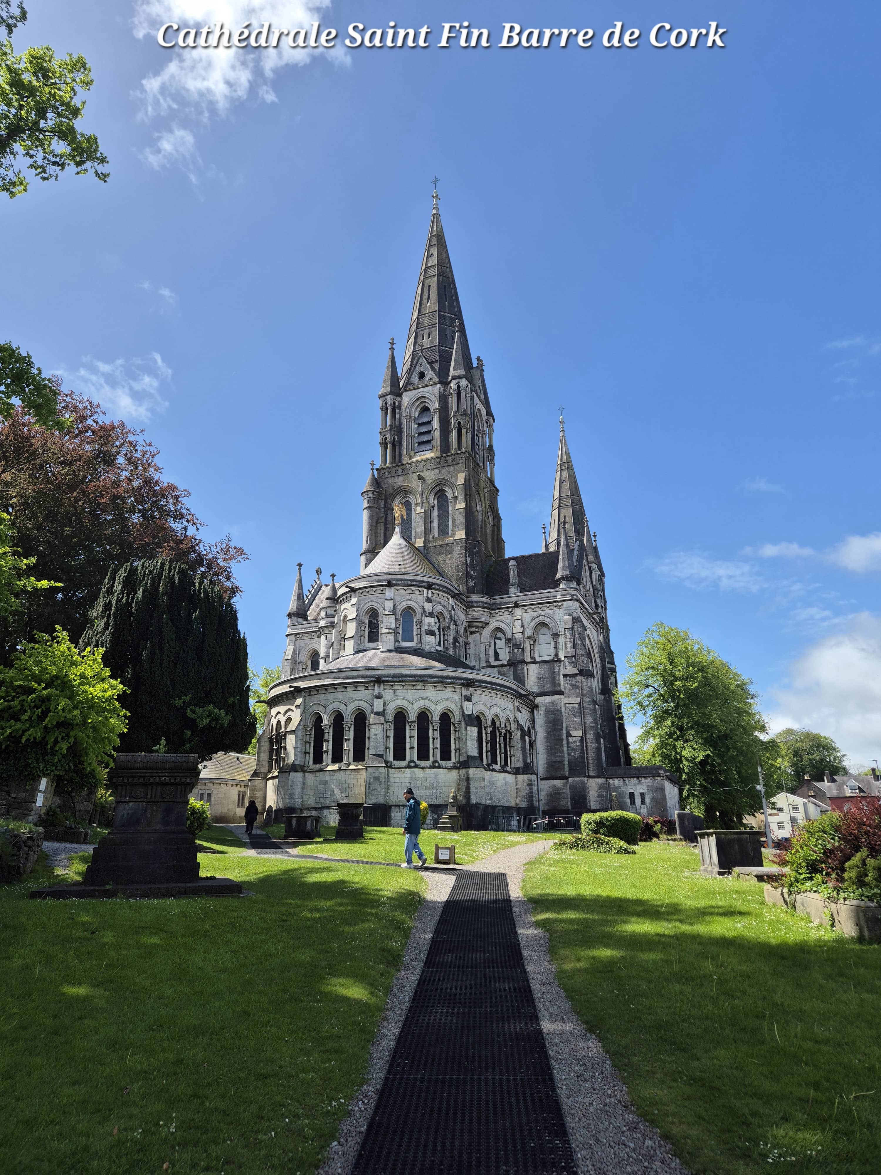 Cork