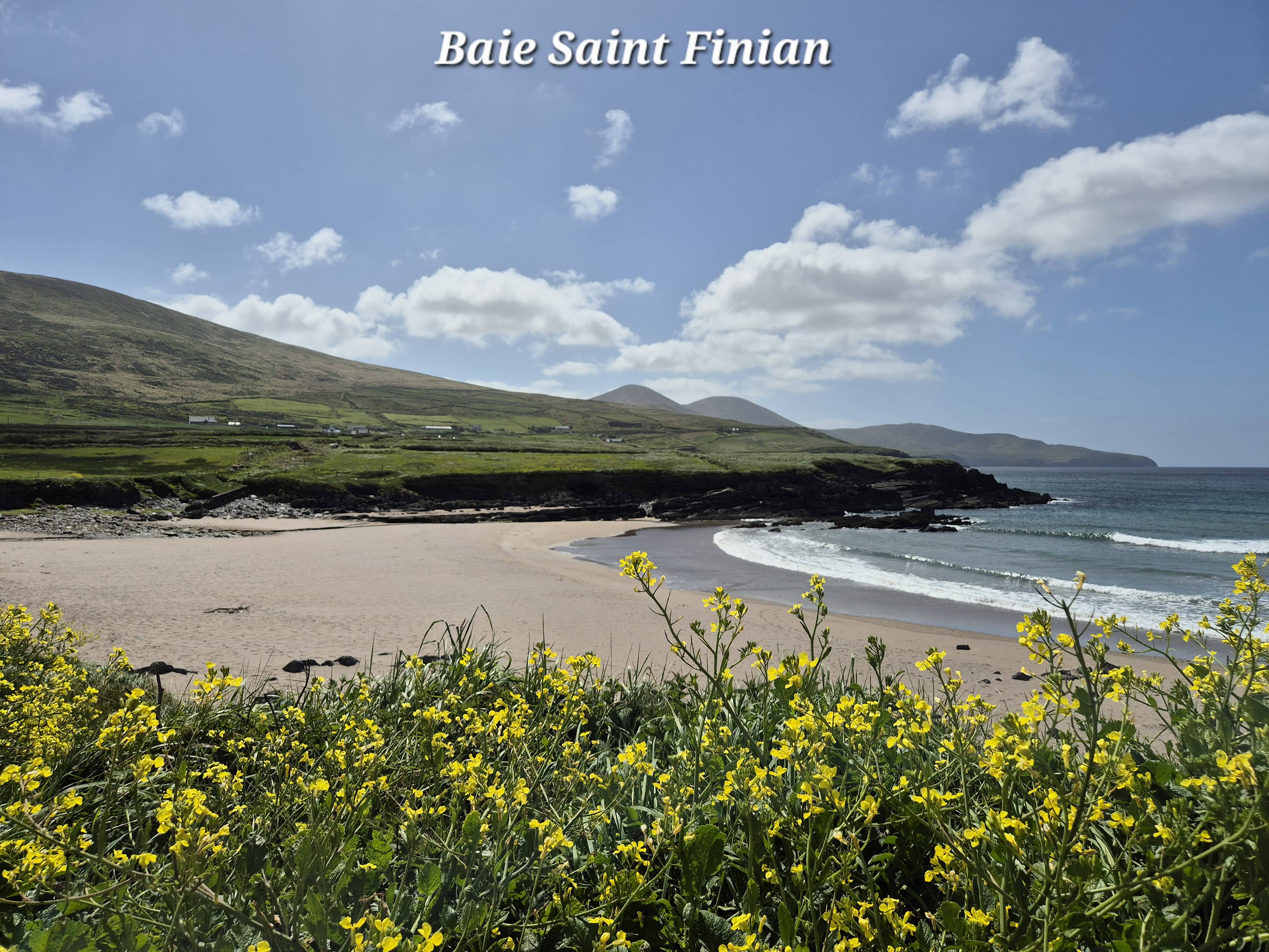 Kerry