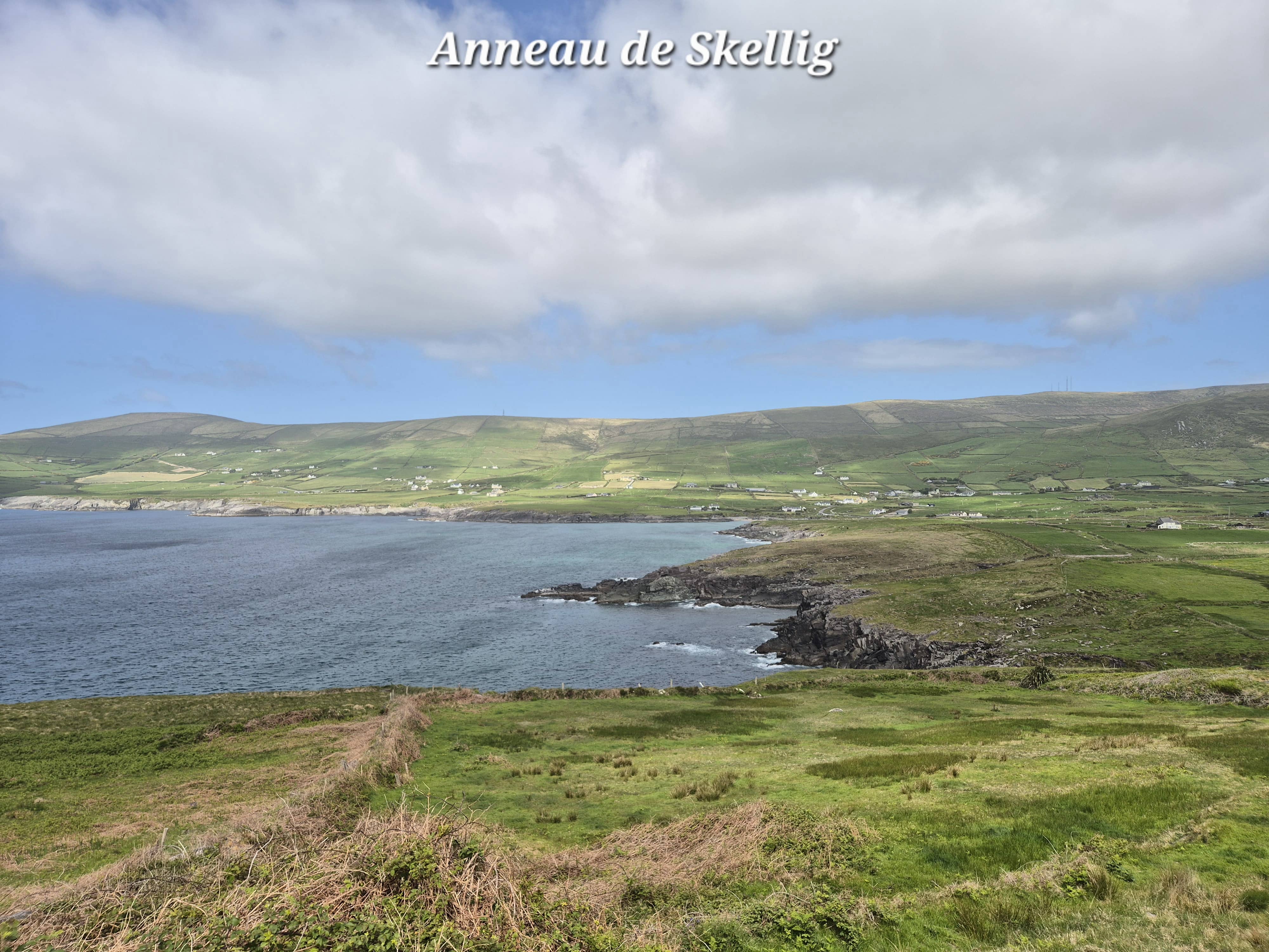 Kerry