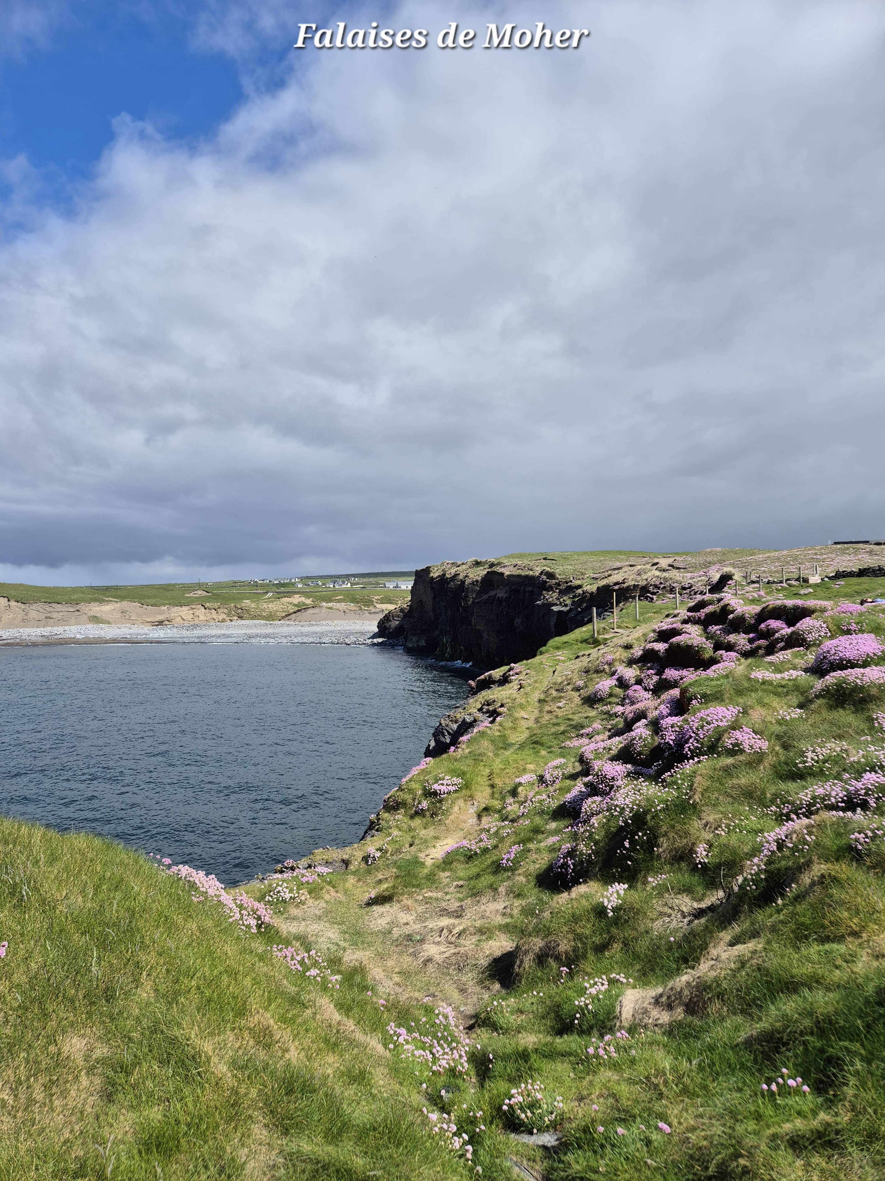 Moher