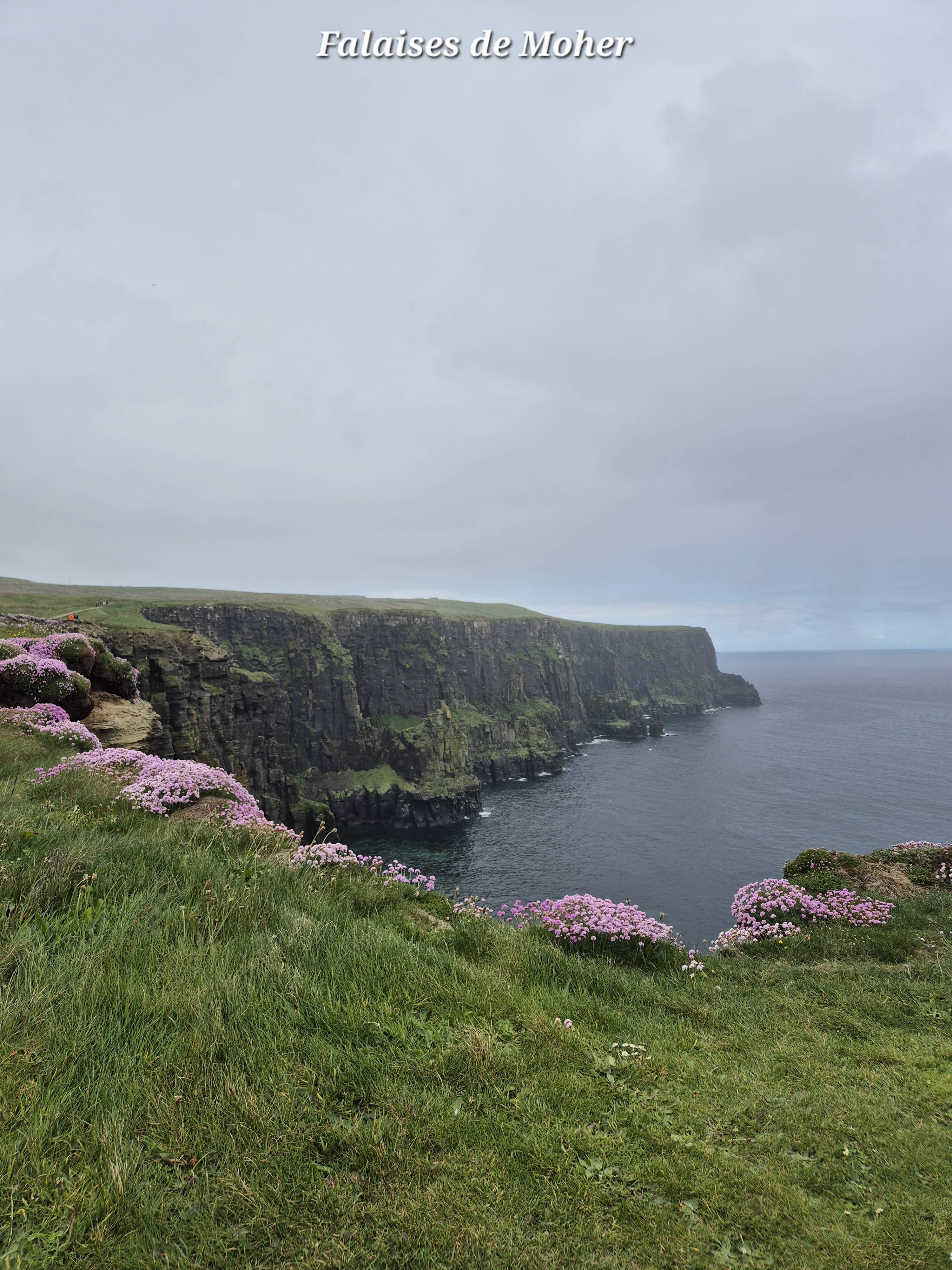Moher