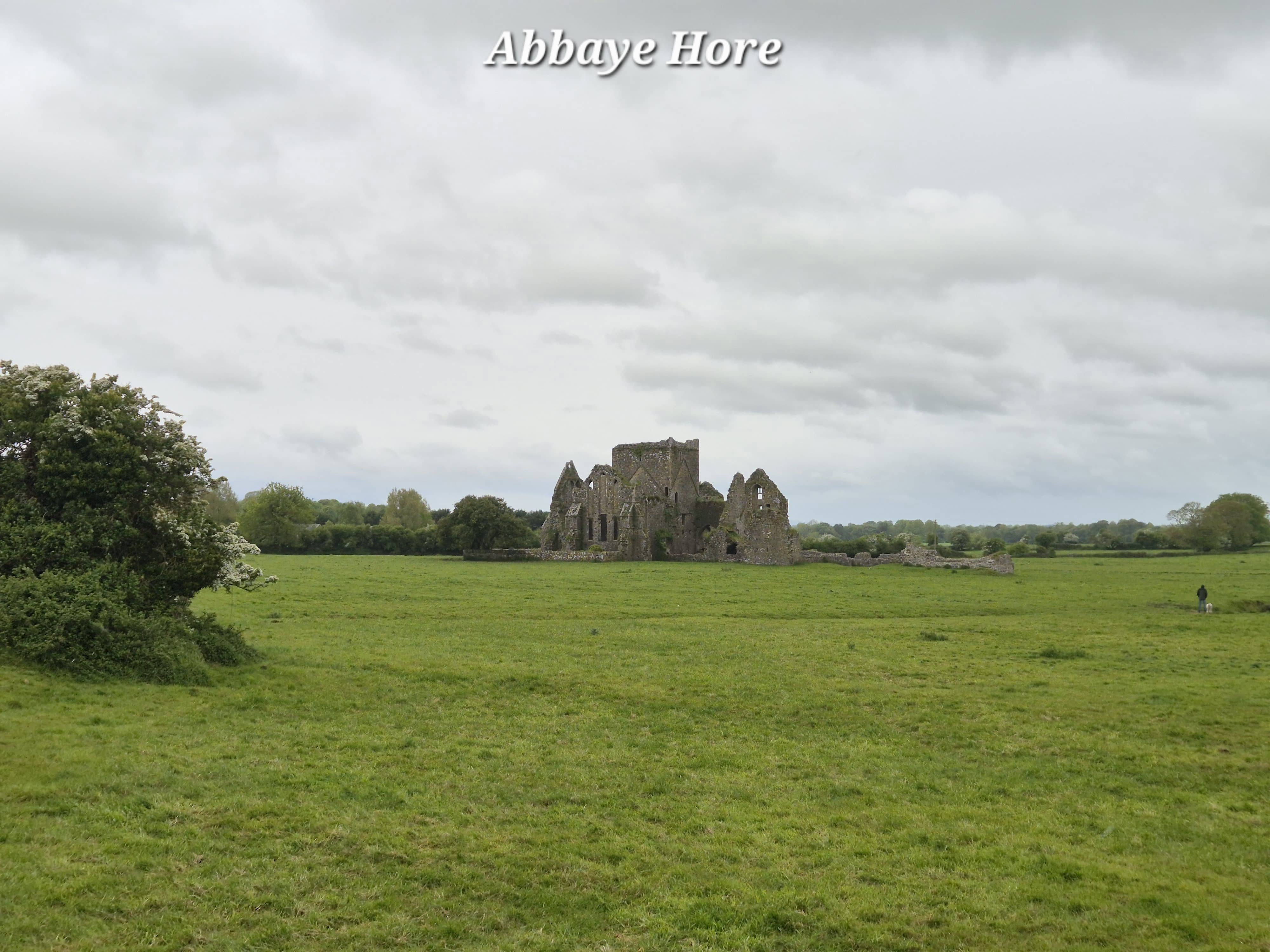 Rock of Cashel