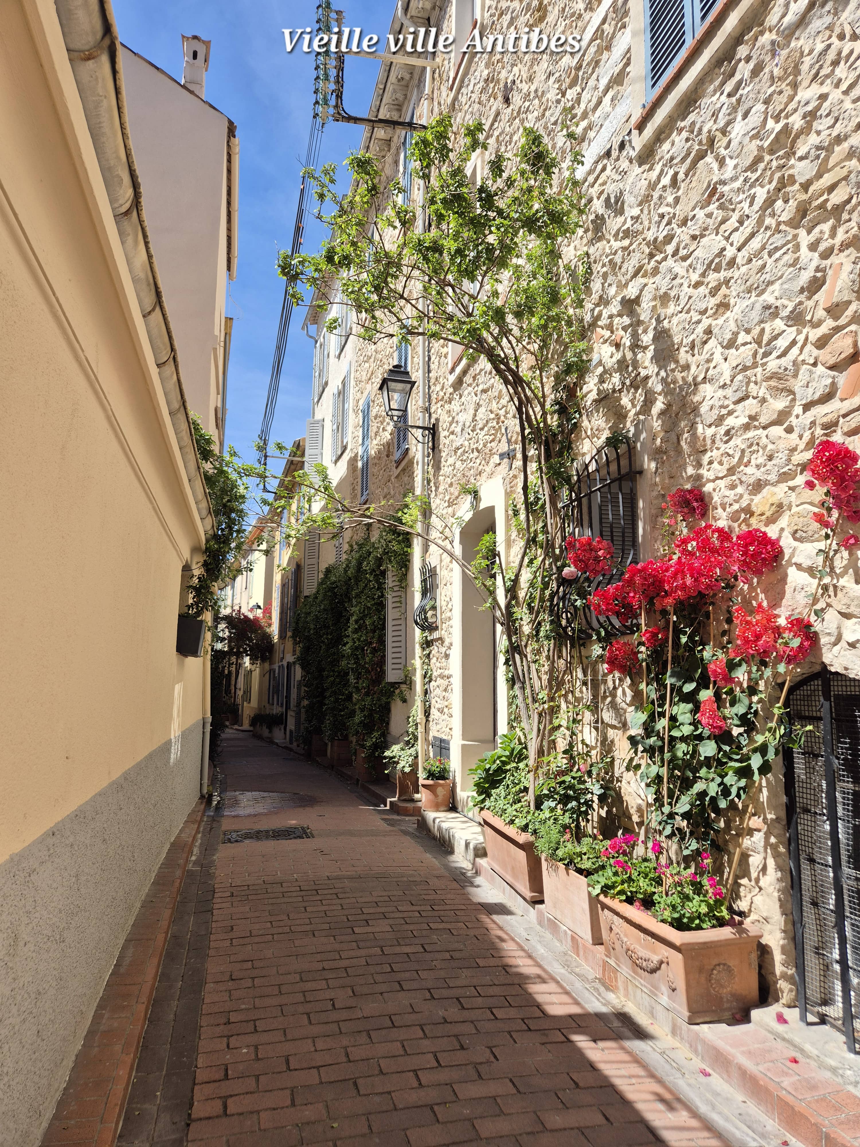 Visite Antibes
