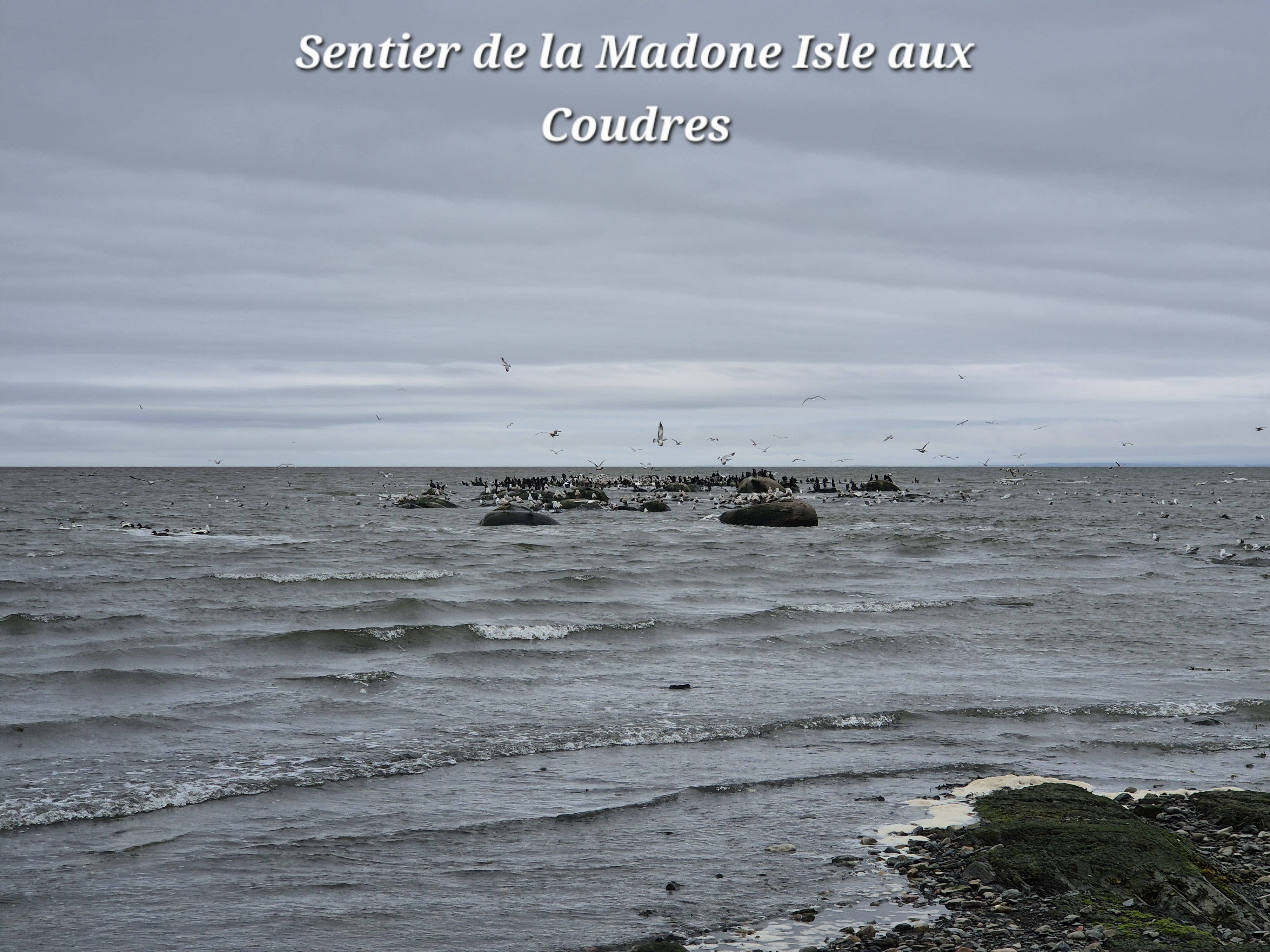 Isle aux coudres Baie Saint Paul