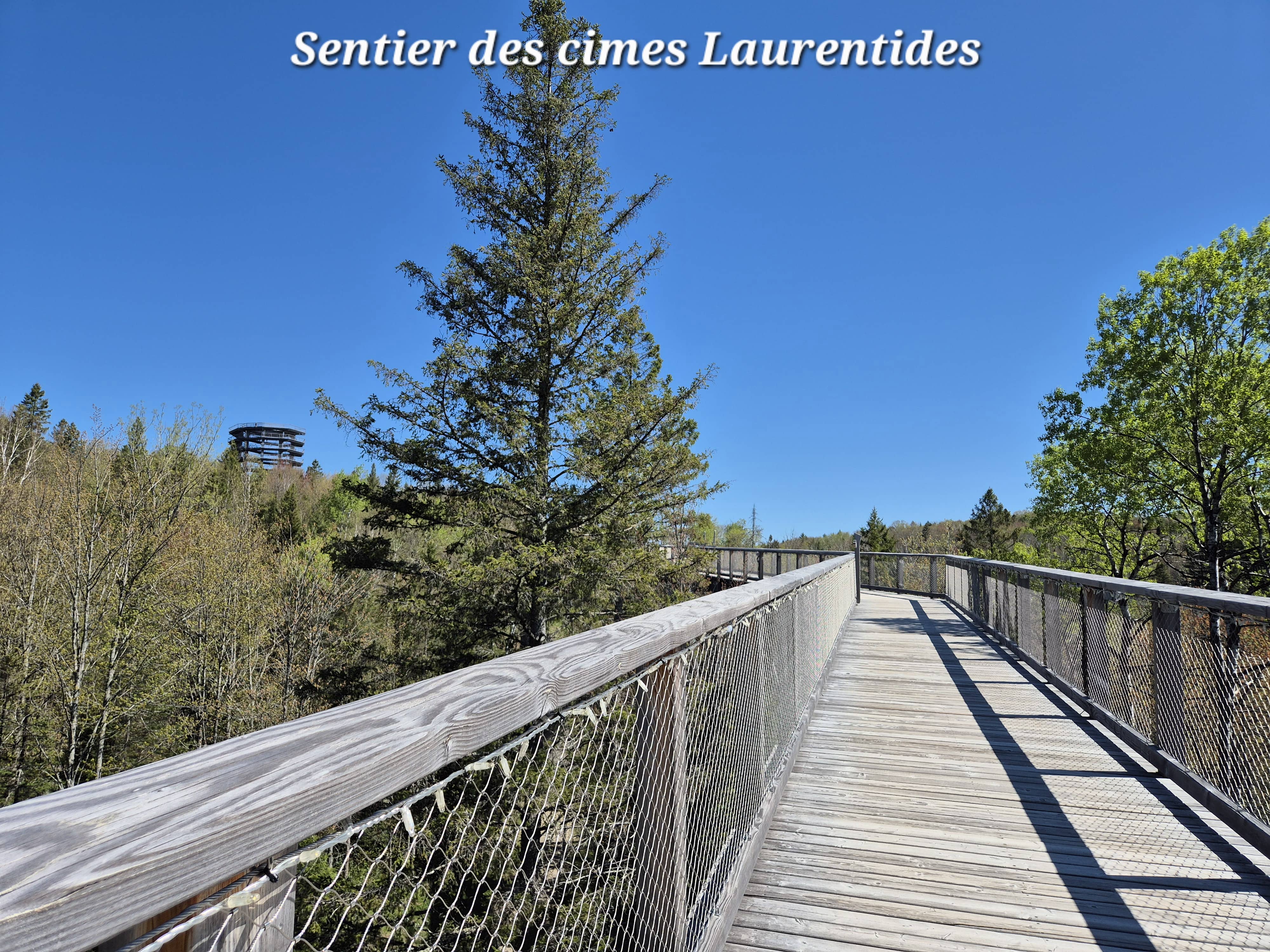 Mont Tremblant