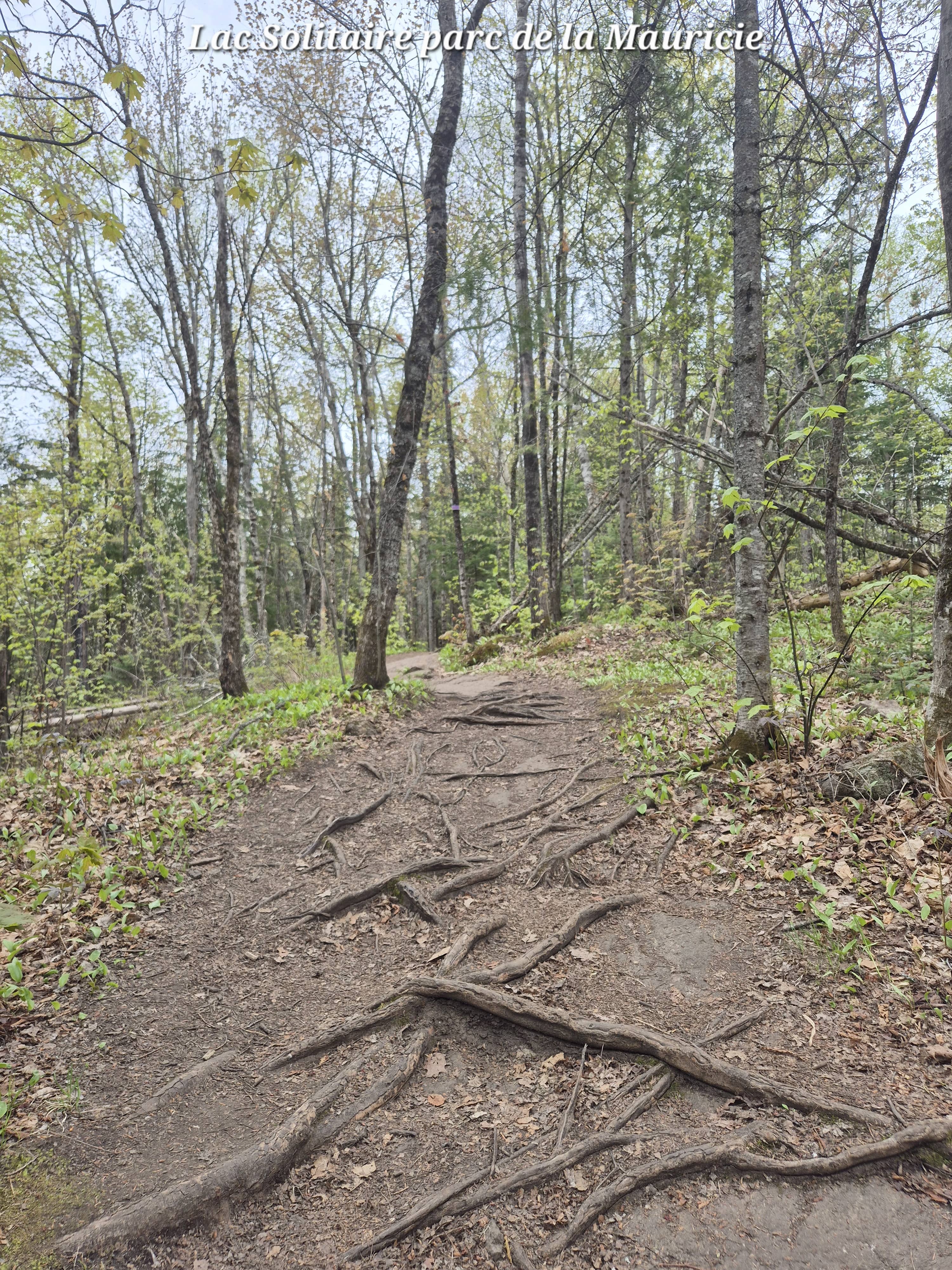 Shawinigan Mauricie