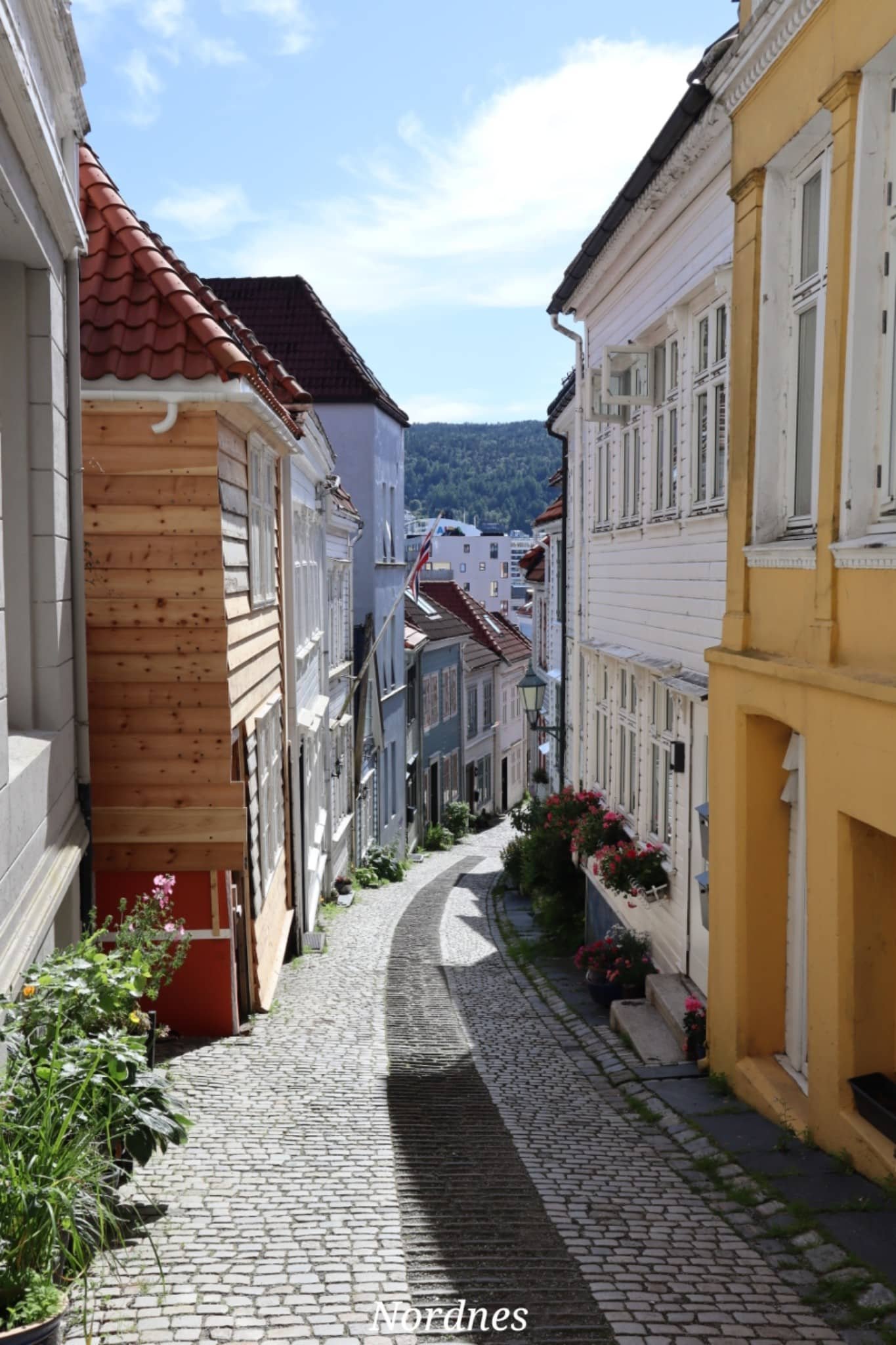 Bergen - Nordnes - maisons colorées - ville - Norvège - voyage