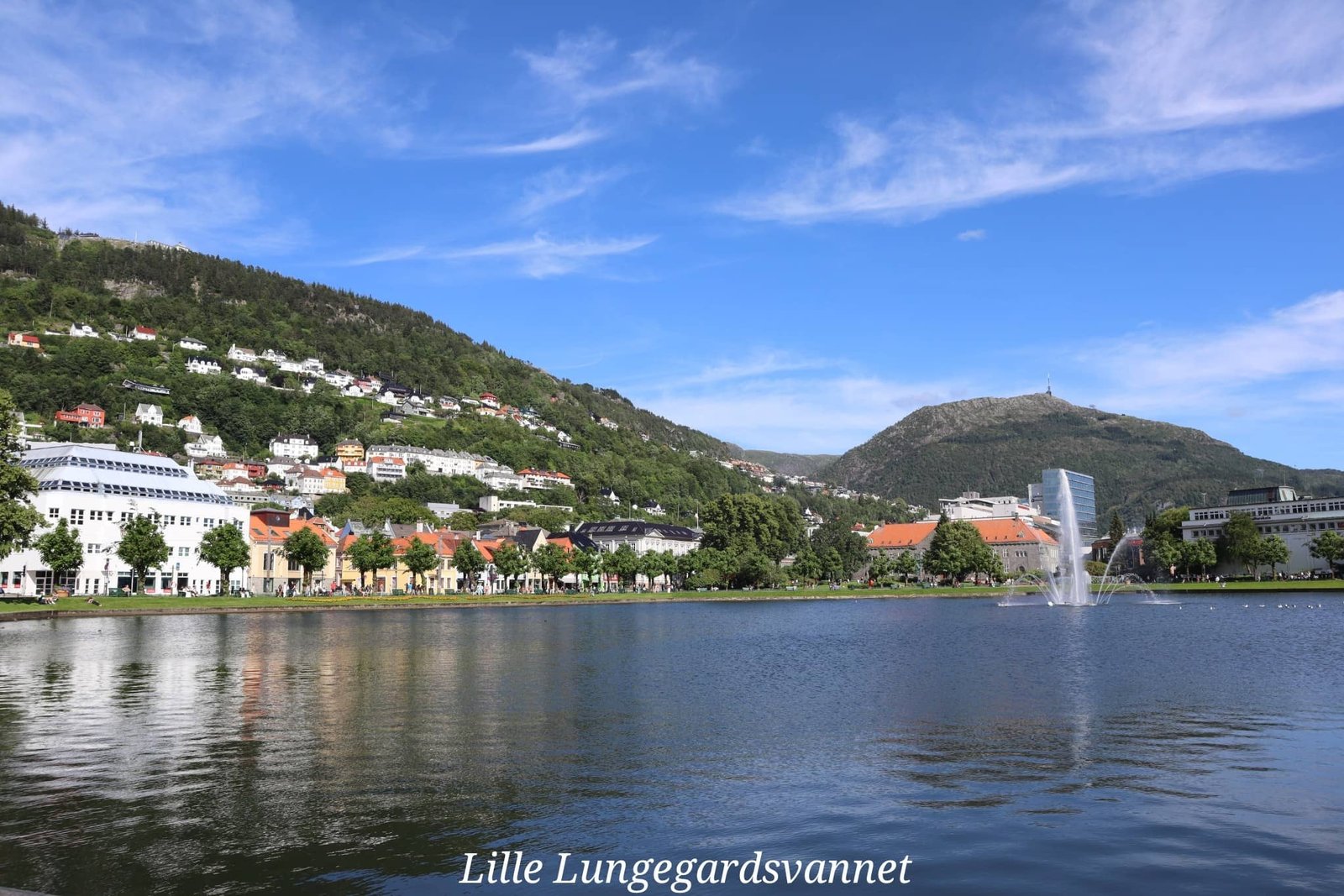 Bergen - Lille Lungegardsvannet - lac - ville - Norvège - voyage