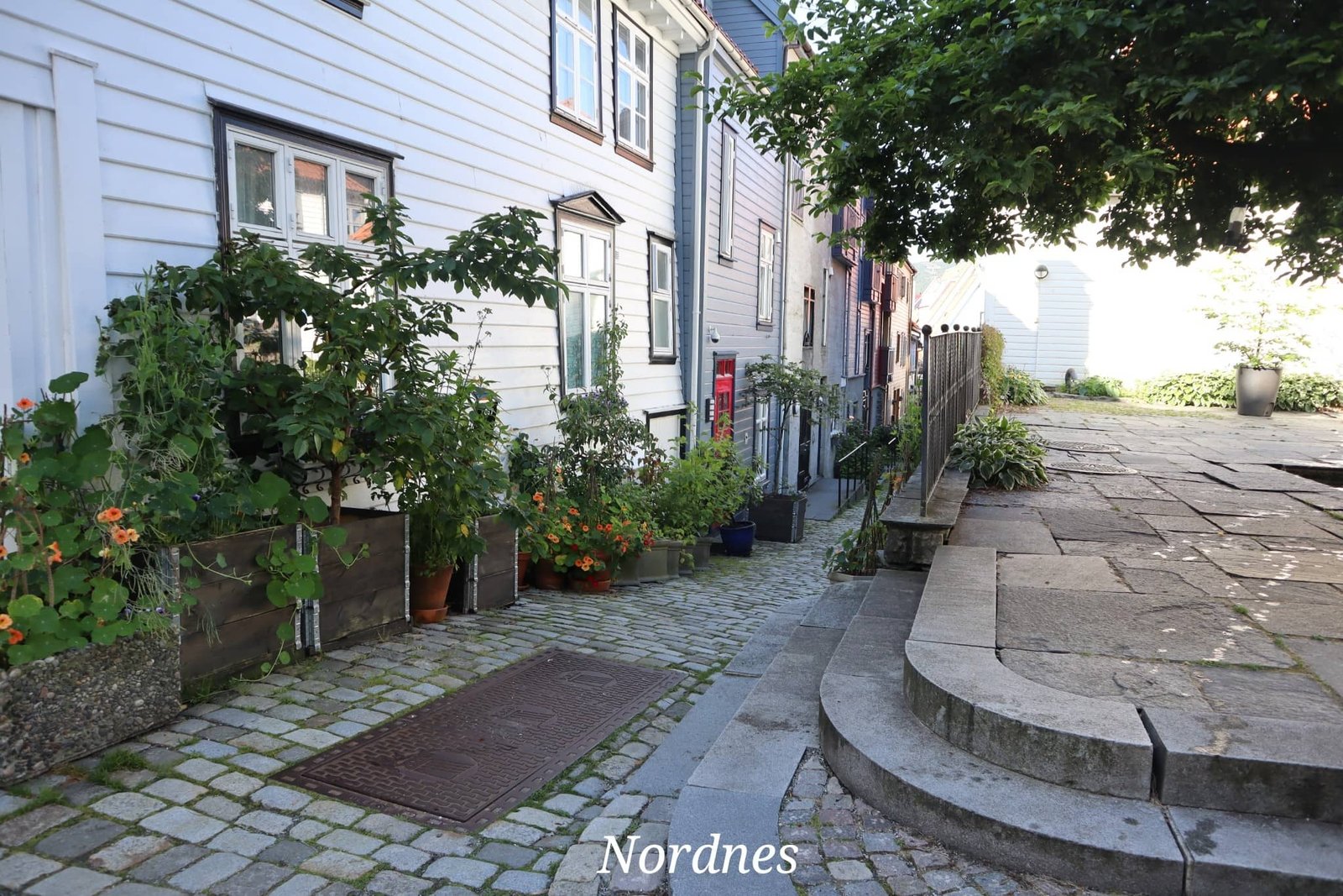 Bergen - Nordnes - maisons colorées - ville - Norvège - voyage