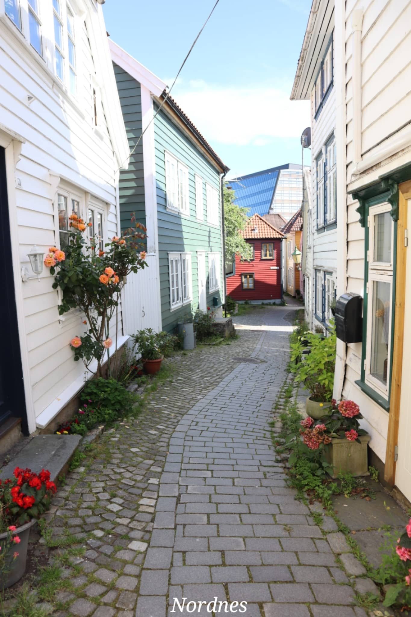 Bergen - Nordnes - maisons colorées - ville - Norvège - voyage