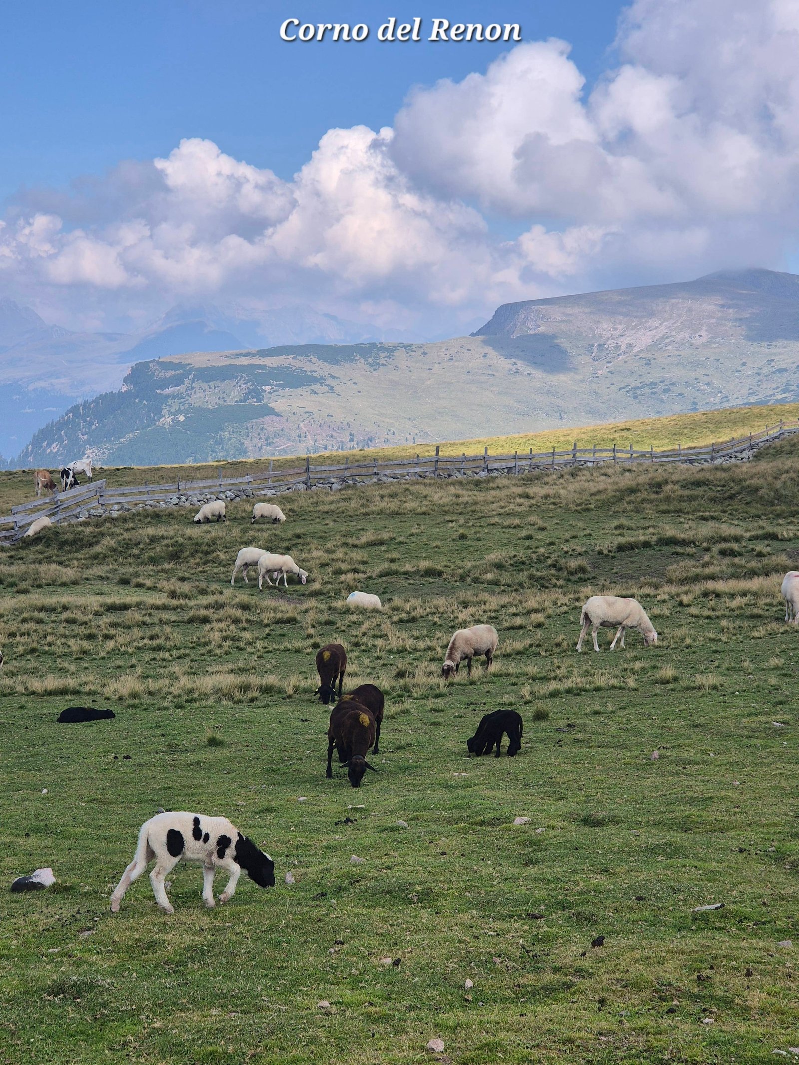 Corno del Renon 5