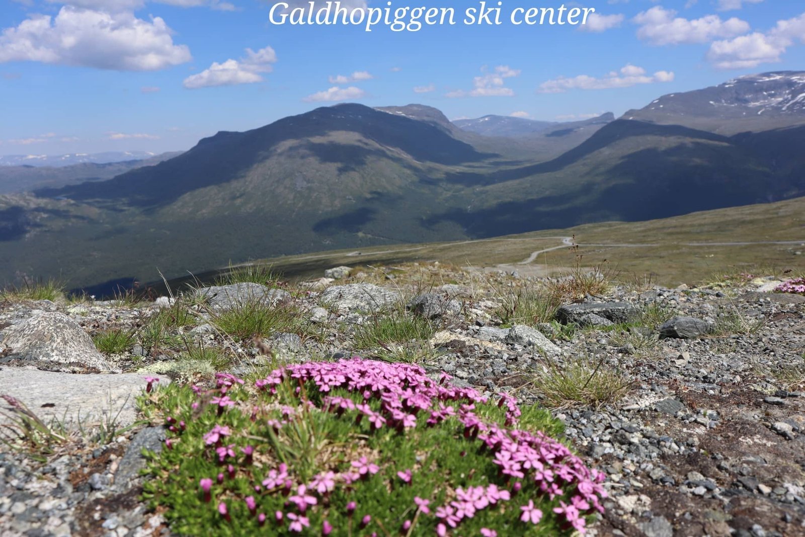 Galdhopiggen - montagne - voyage - Norvège