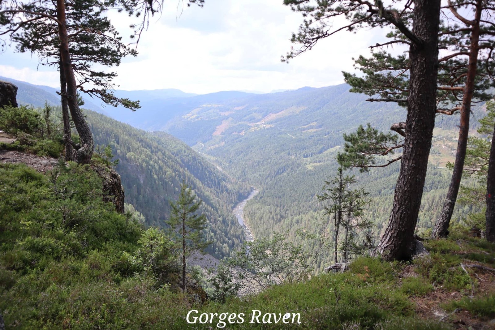 Gorges Raven - point de vue - voyage - Norvège