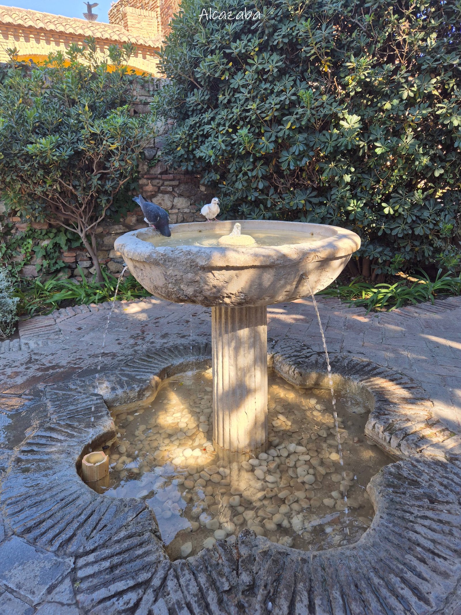 Malaga - Alcazaba - fontaine - ville - voyage