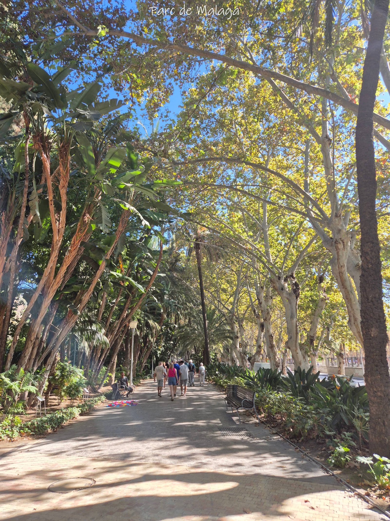 Malaga - Parc - ville - voyage