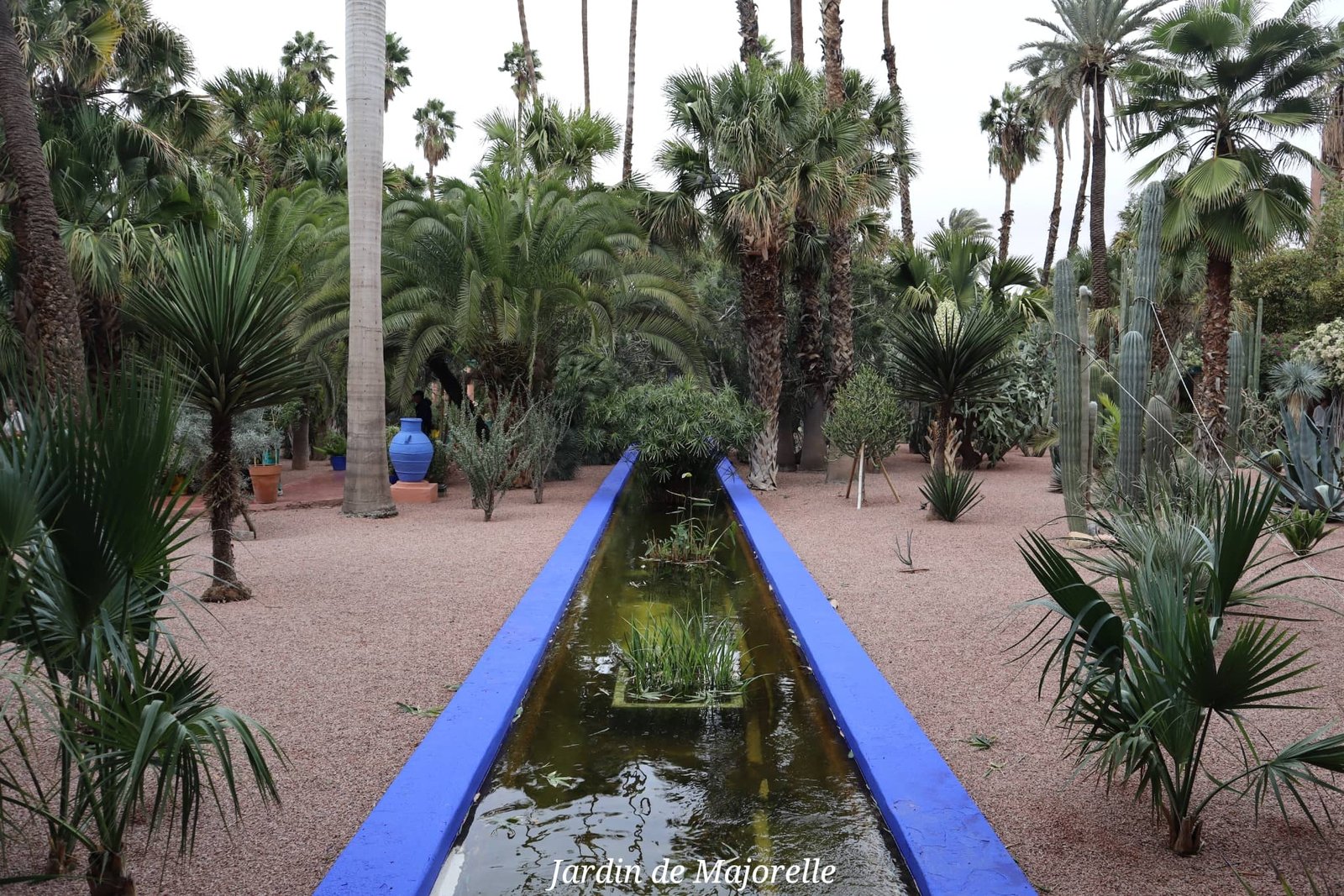 Marrakech - jardin de Majorelle - bleu indigo - voyage